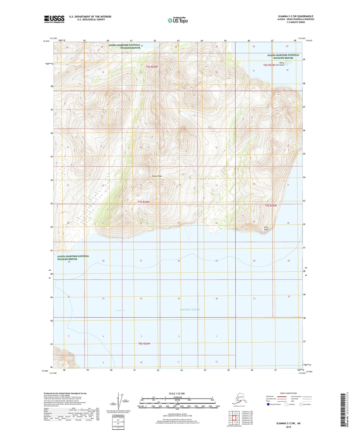 Iliamna C-2 SW Alaska US Topo Map Image