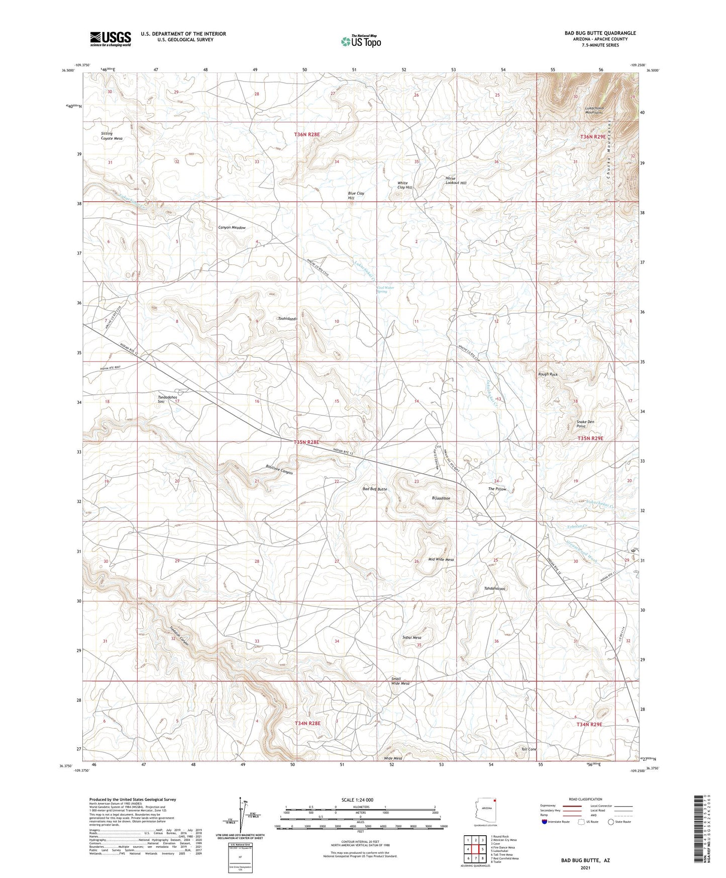 Bad Bug Butte Arizona US Topo Map Image