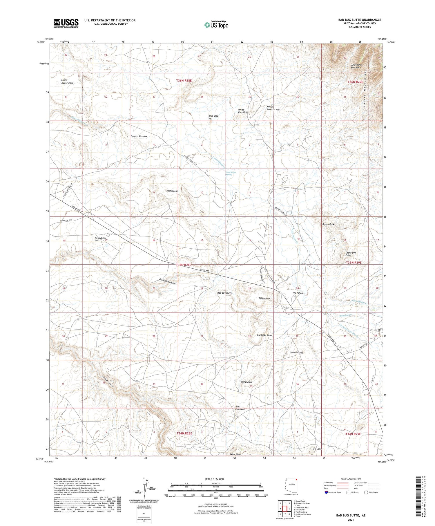 Bad Bug Butte Arizona US Topo Map Image