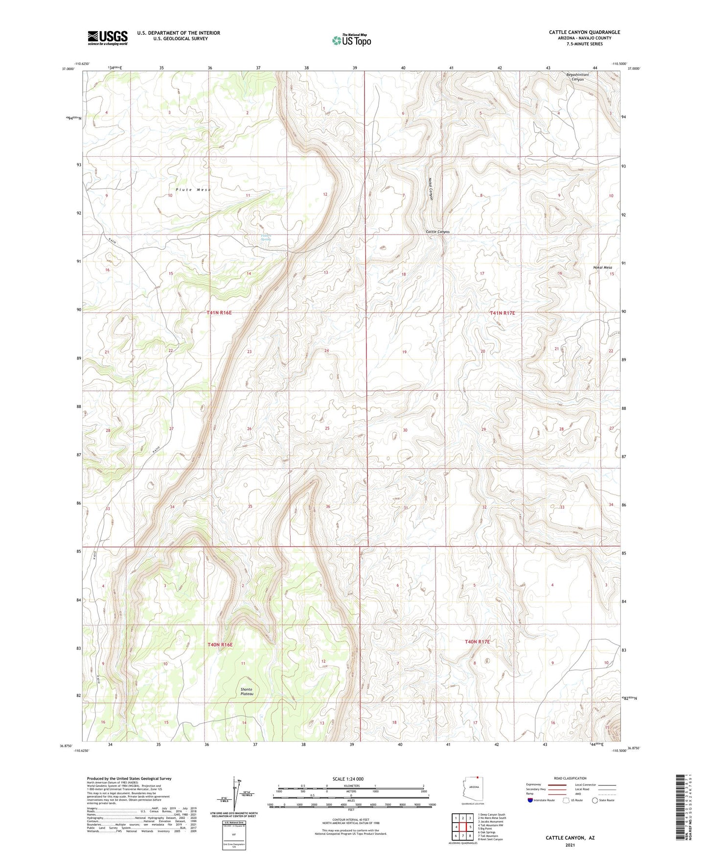 Cattle Canyon Arizona US Topo Map Image