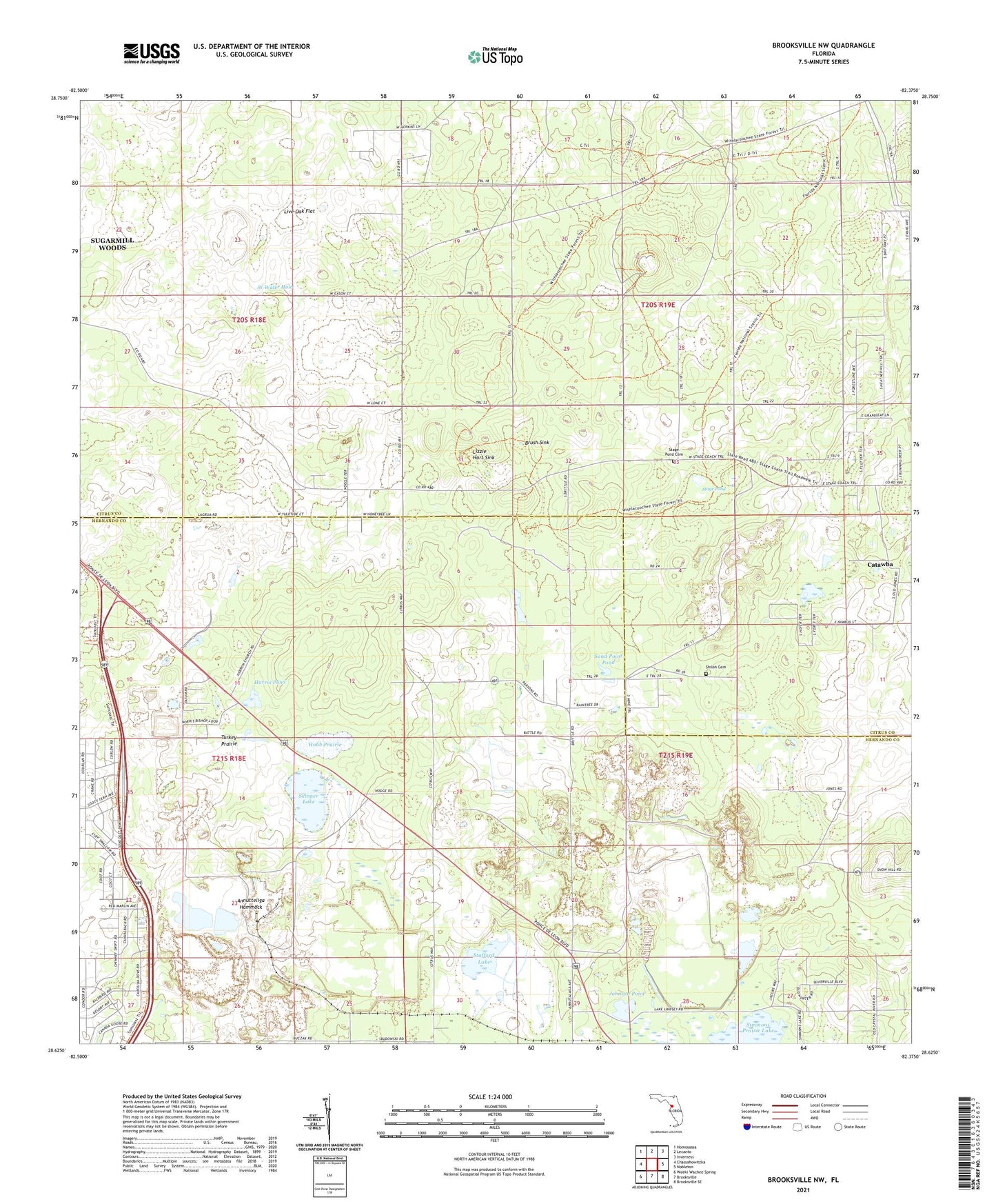 Brooksville NW Florida US Topo Map Image