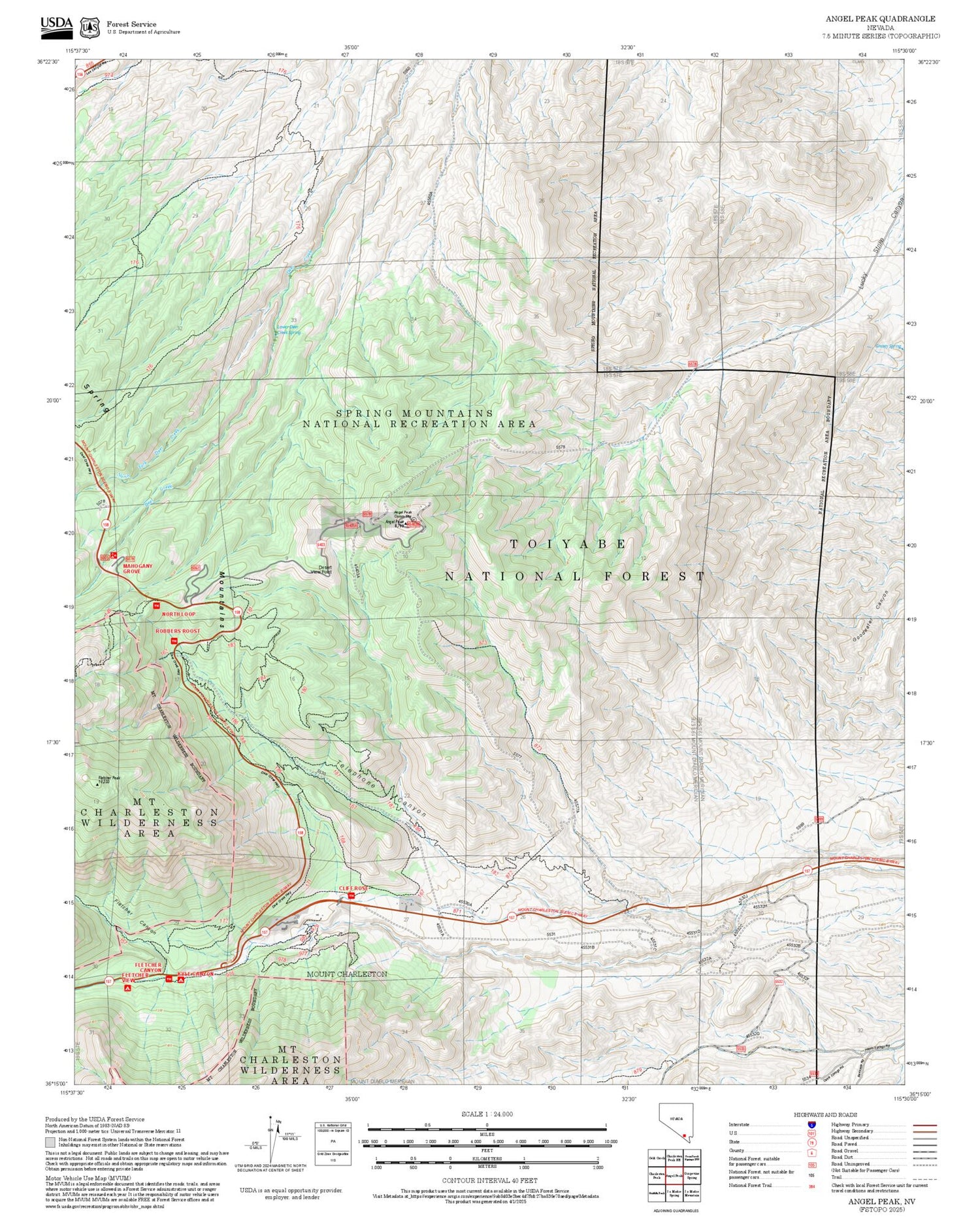 2025 Forest Service Topo Map of Angel Peak Nevada