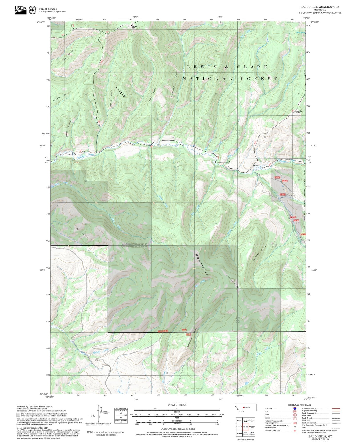 2025 Forest Service Topo Map of Bald Hills Montana