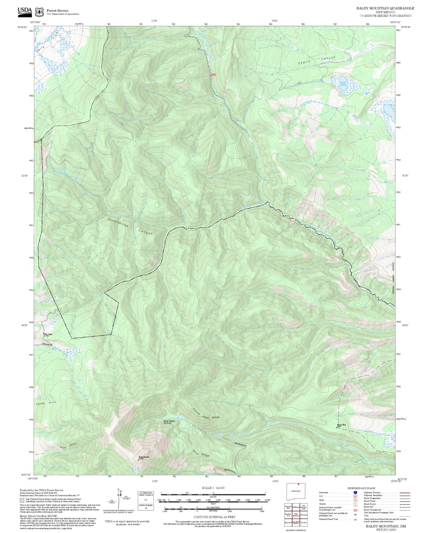 2025 Forest Service Topo Map of Baldy Mountain New Mexico