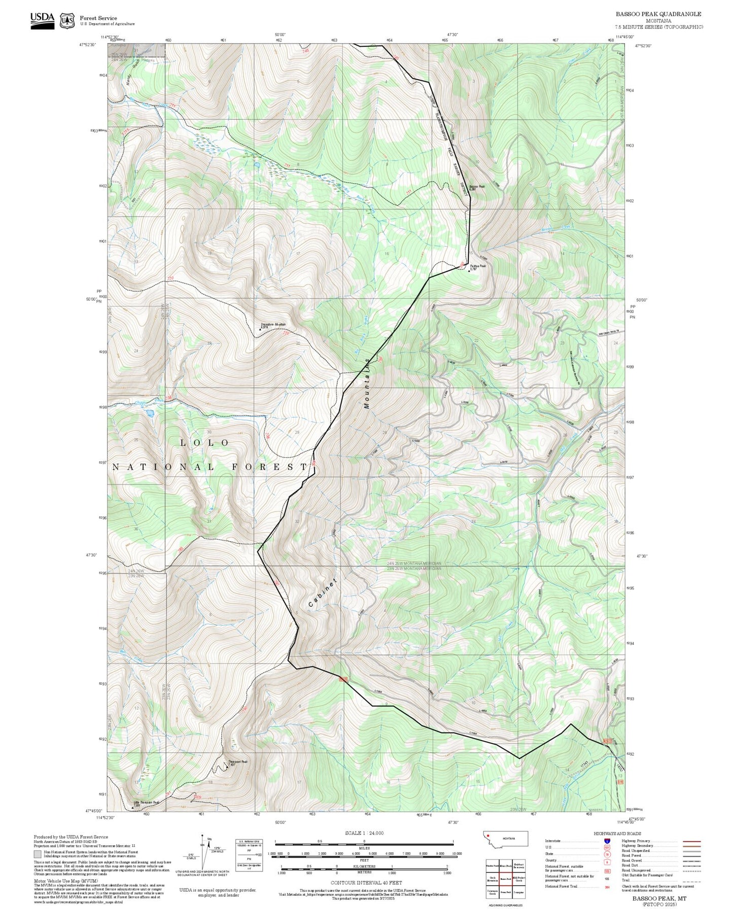 2025 Forest Service Topo Map of Bassoo Peak Montana