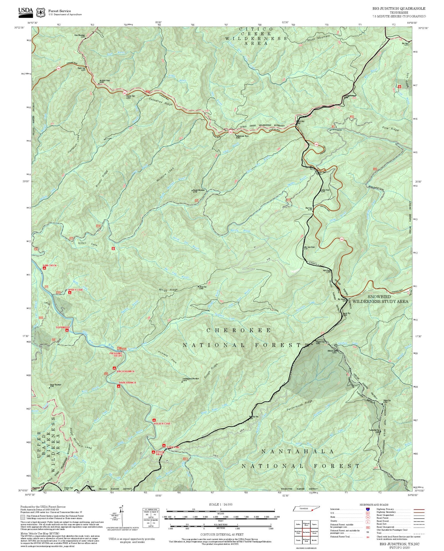 2025 Forest Service Topo Map of Big Junction Tennessee