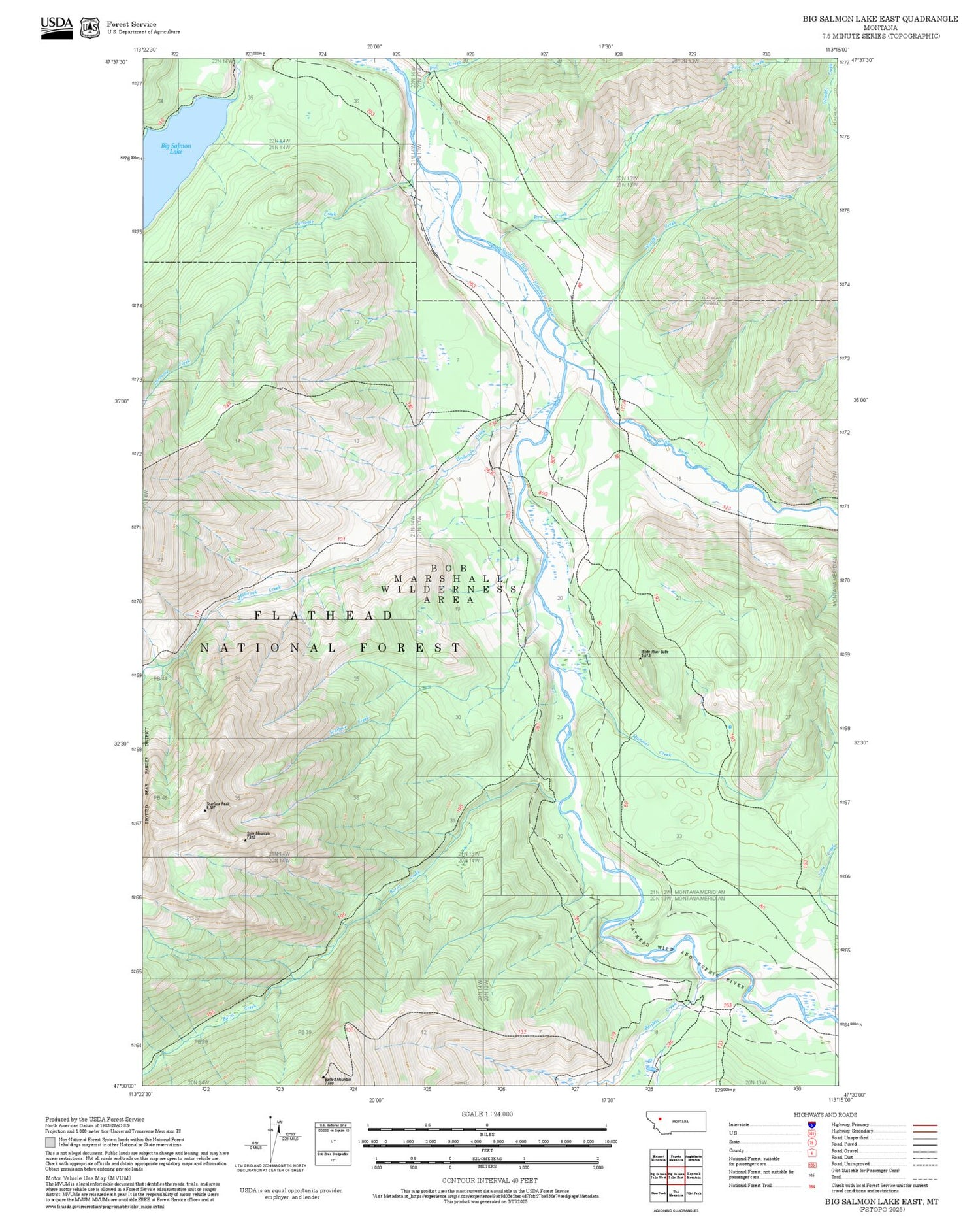 2025 Forest Service Topo Map of Big Salmon Lake East Montana
