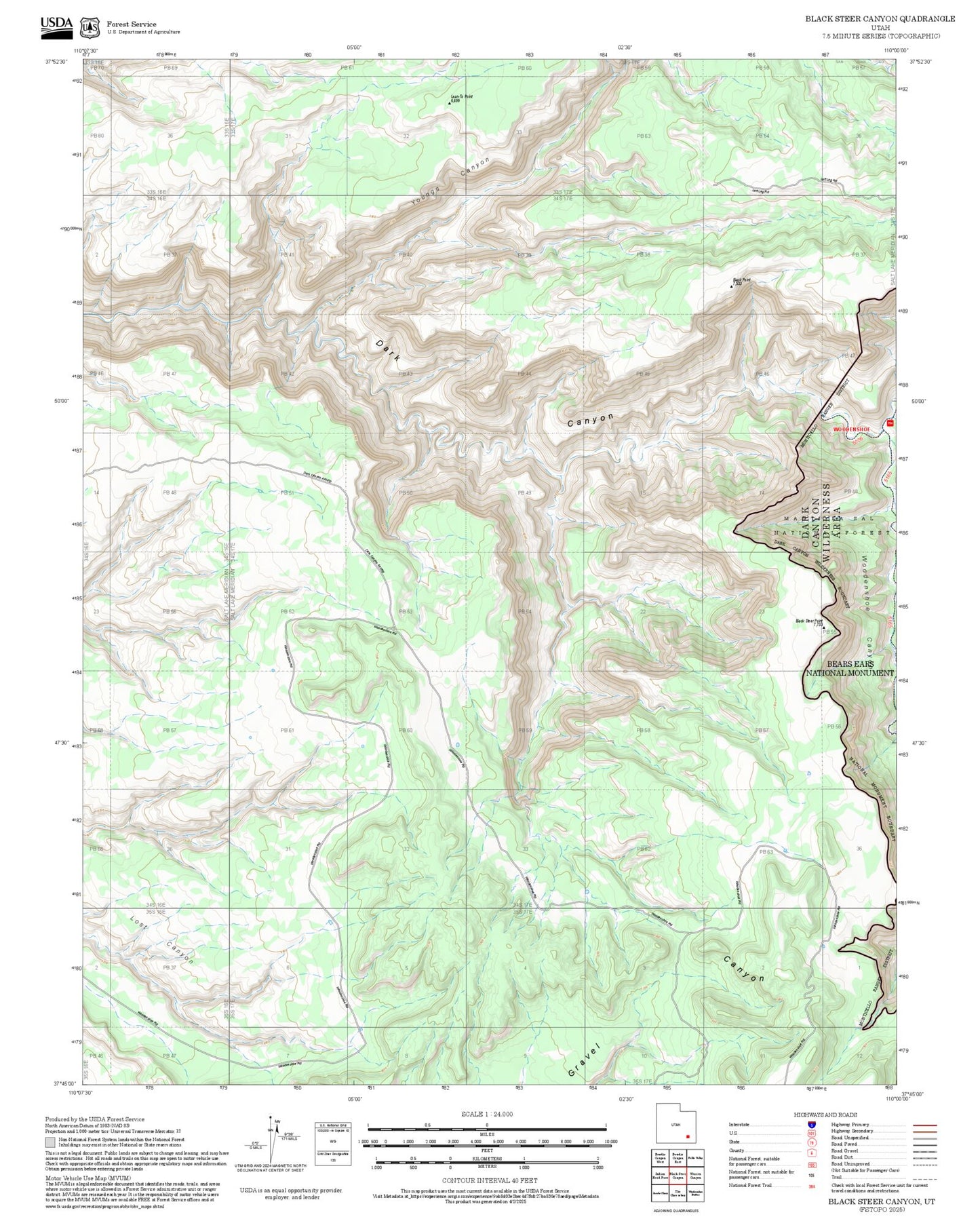 2025 Forest Service Topo Map of Black Steer Canyon Utah