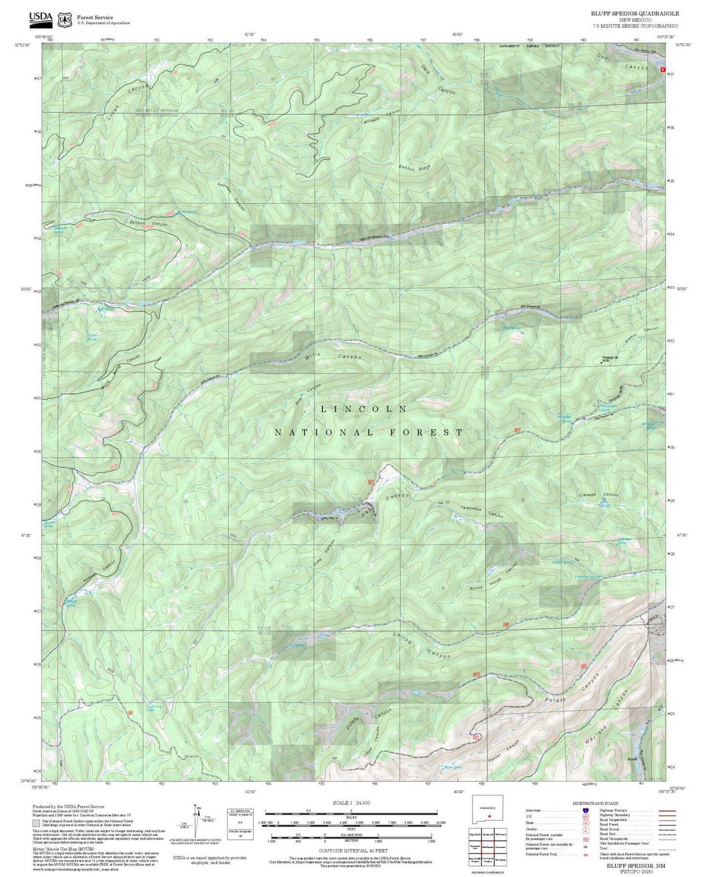 2025 Forest Service Topo Map of Bluff Springs New Mexico