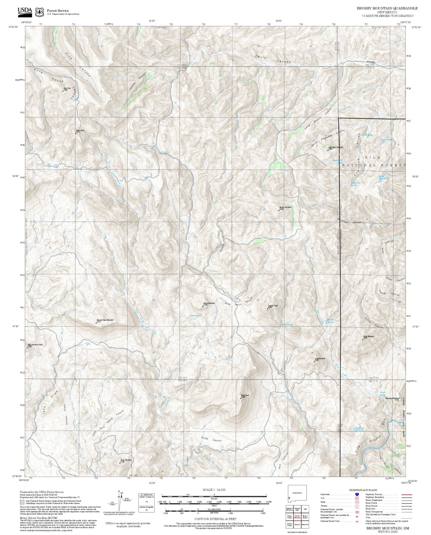 2025 Forest Service Topo Map of Brushy Mountain New Mexico
