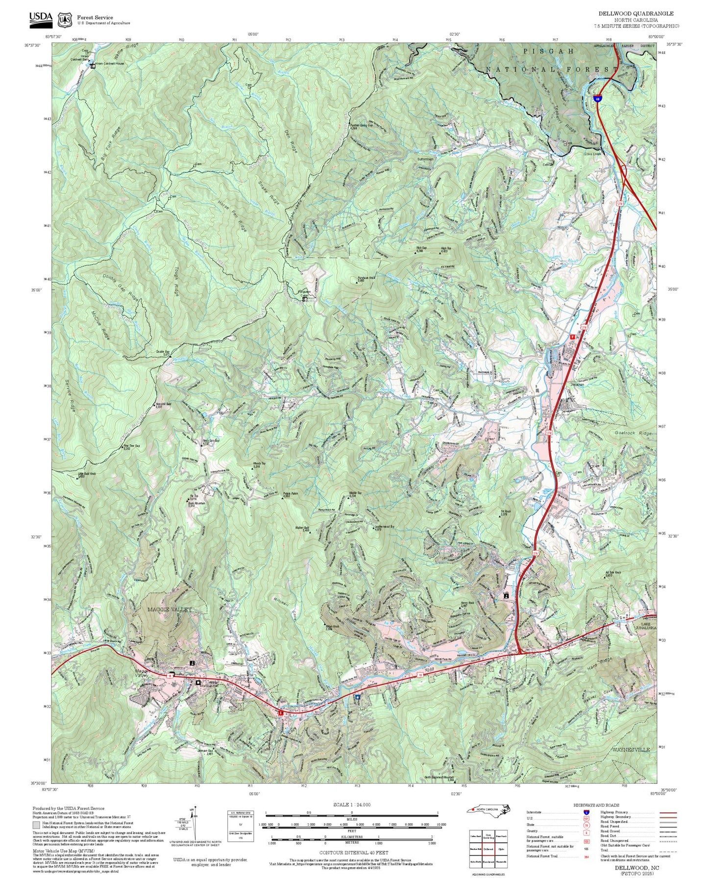 2025 Forest Service Topo Map of Dellwood North Carolina