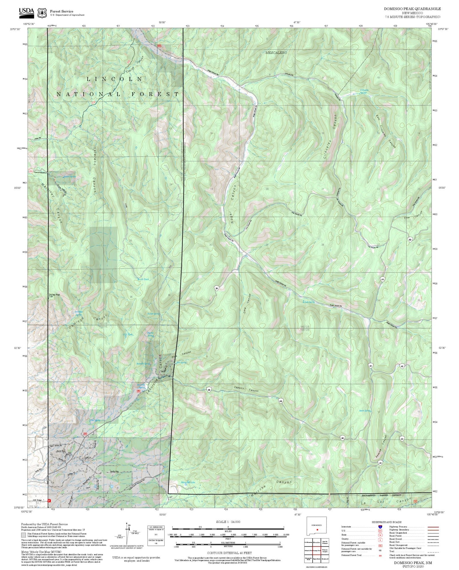 2025 Forest Service Topo Map of Domingo Peak New Mexico