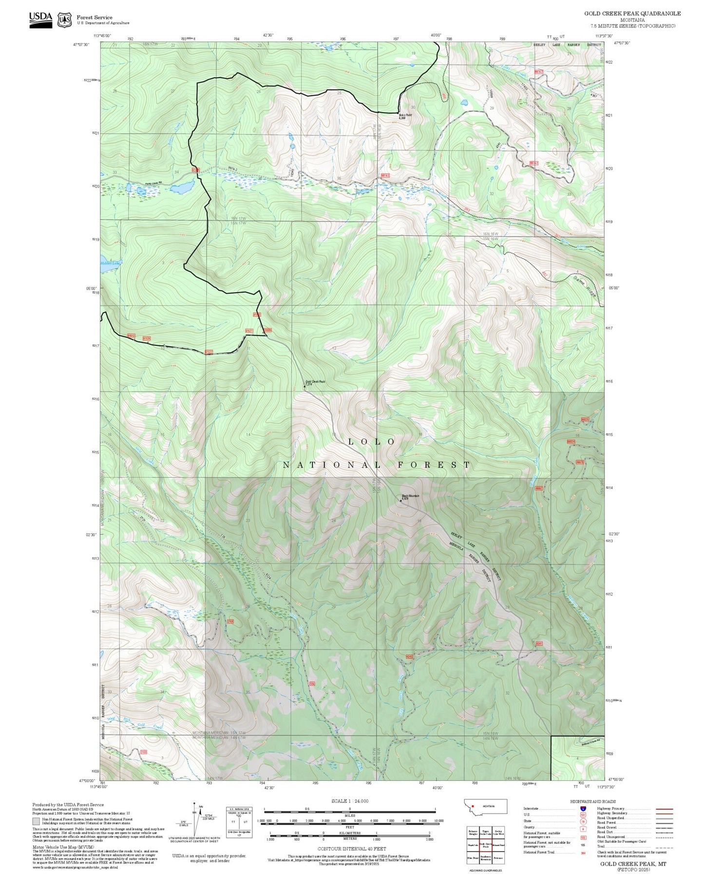 2025 Forest Service Topo Map of Gold Creek Peak Montana