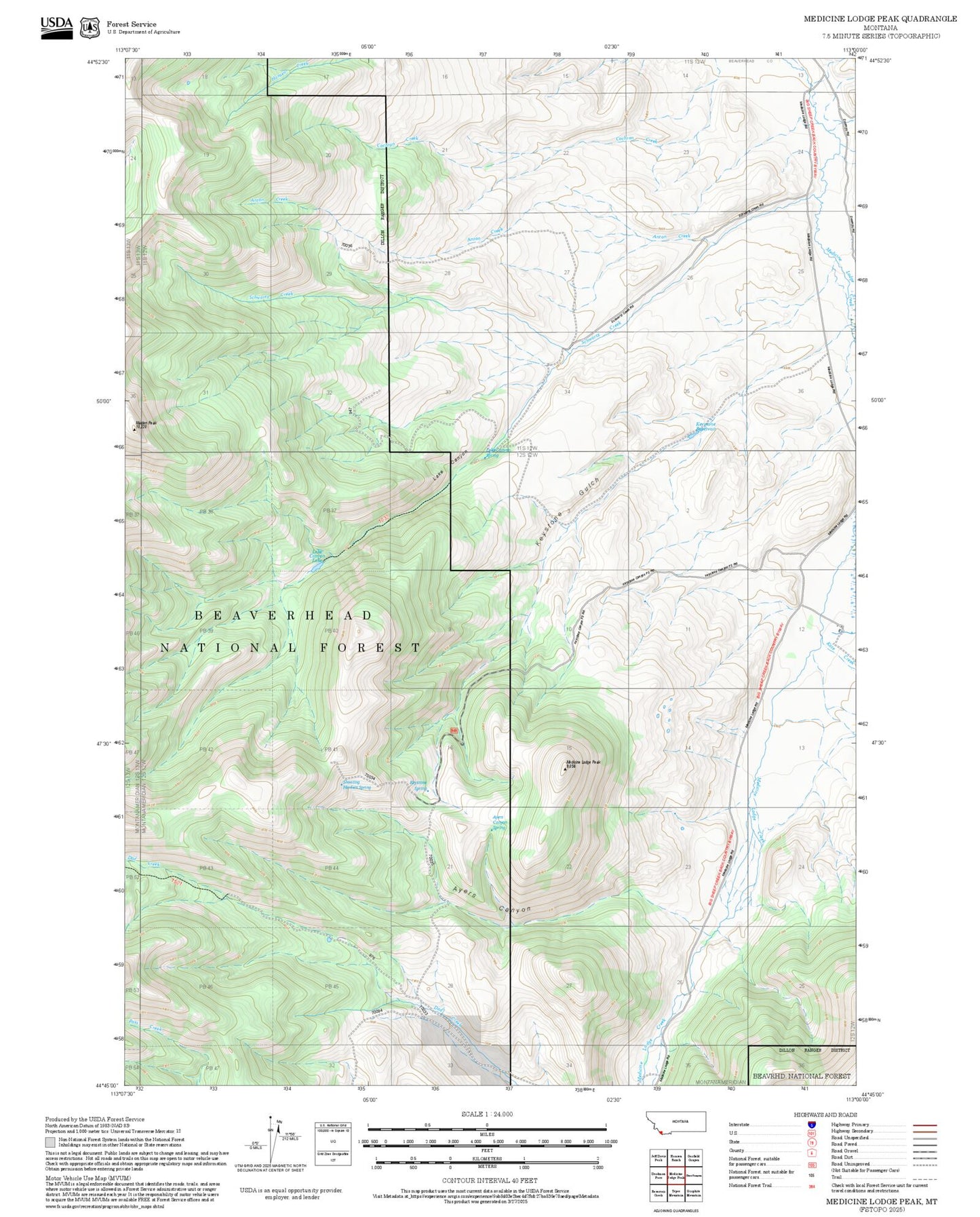 2025 Forest Service Topo Map of Medicine Lodge Peak Montana