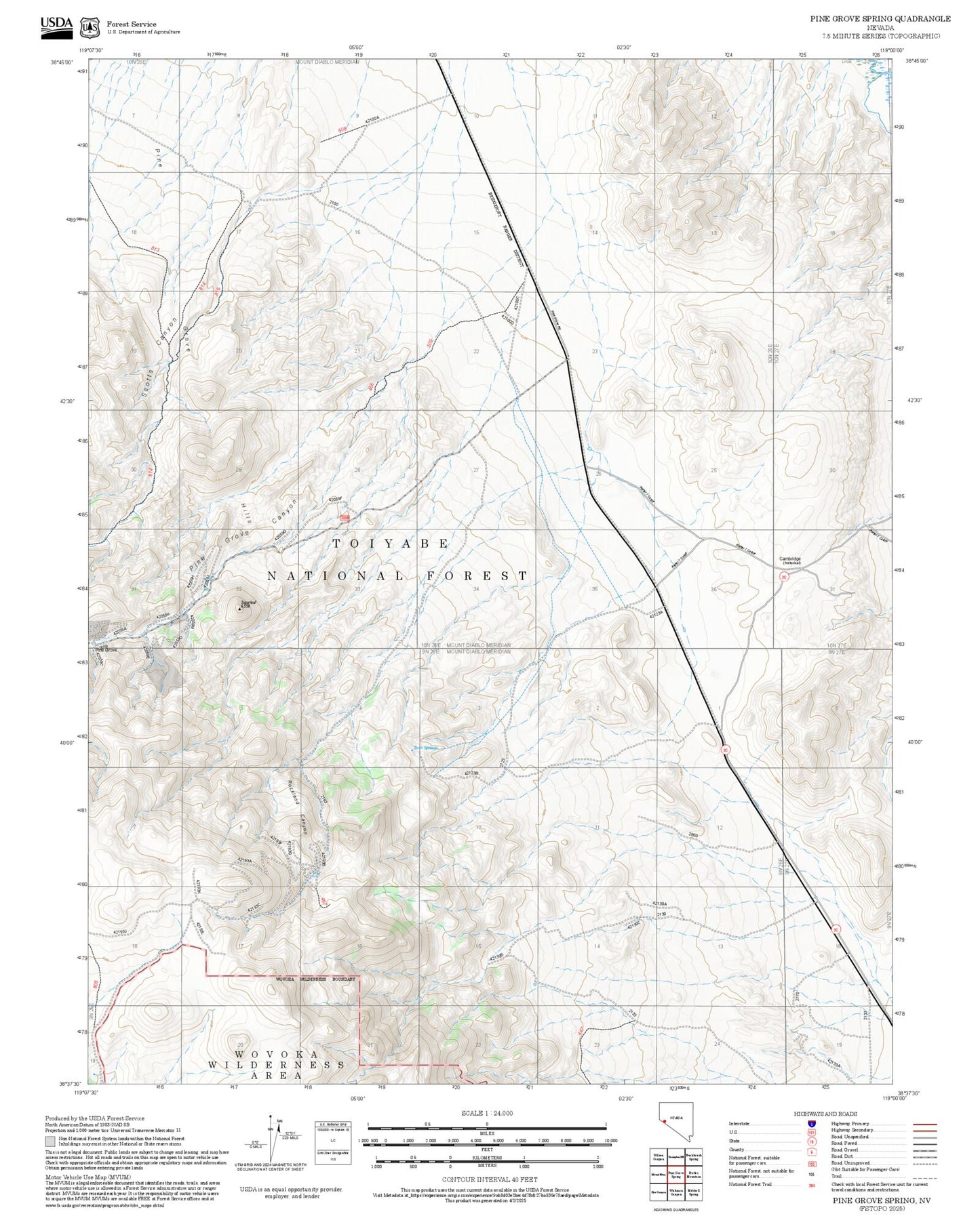 2025 Forest Service Topo Map of Pine Grove Spring Nevada