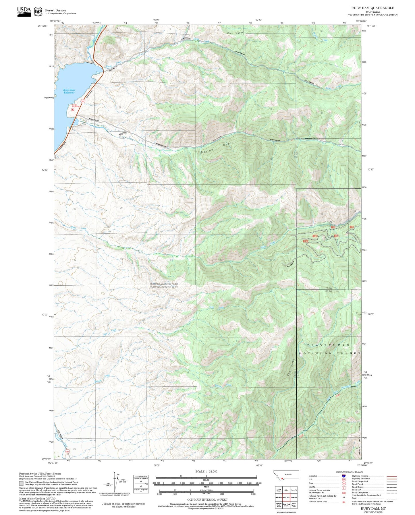 2025 Forest Service Topo Map of Ruby Dam Montana