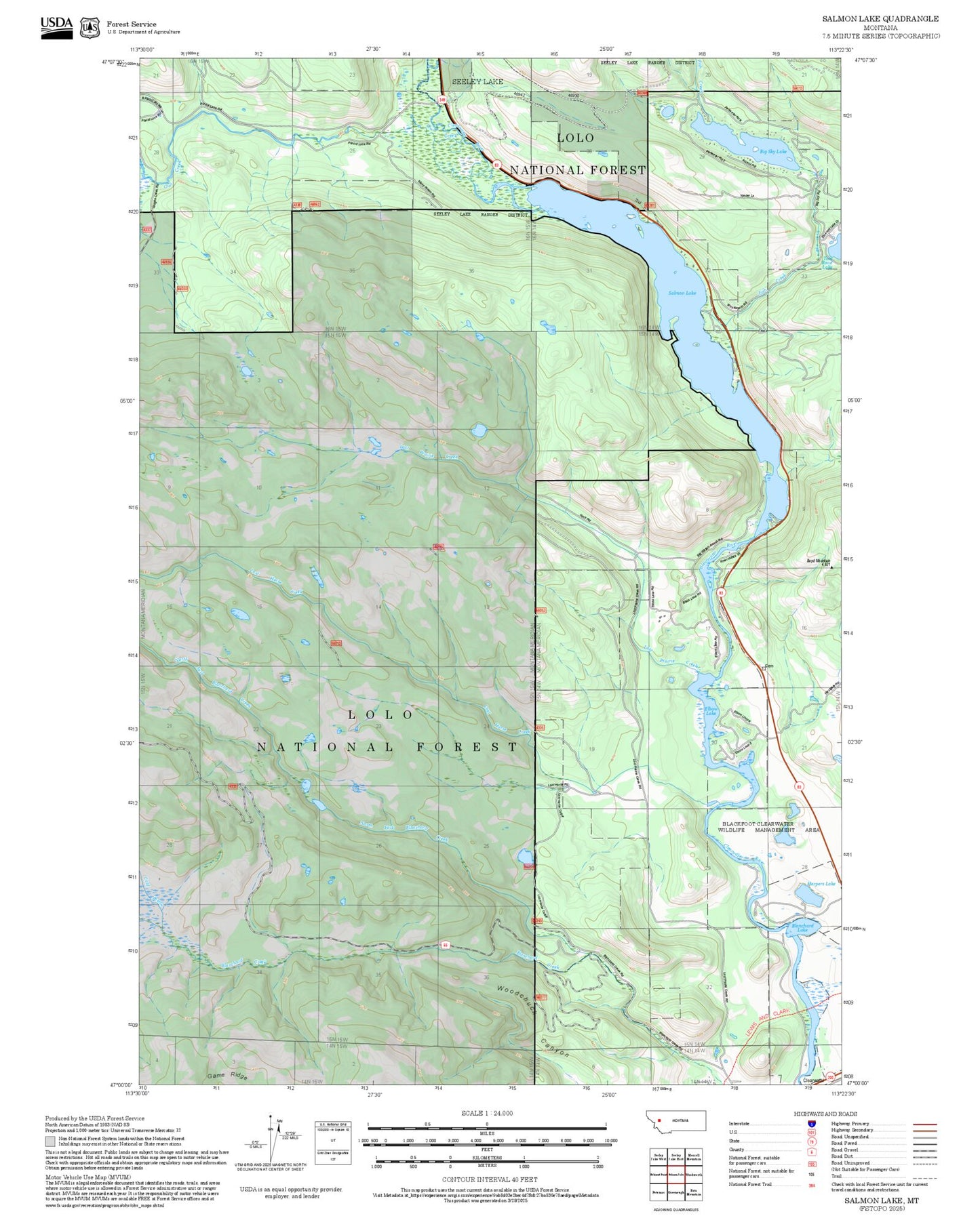 2025 Forest Service Topo Map of Salmon Lake Montana
