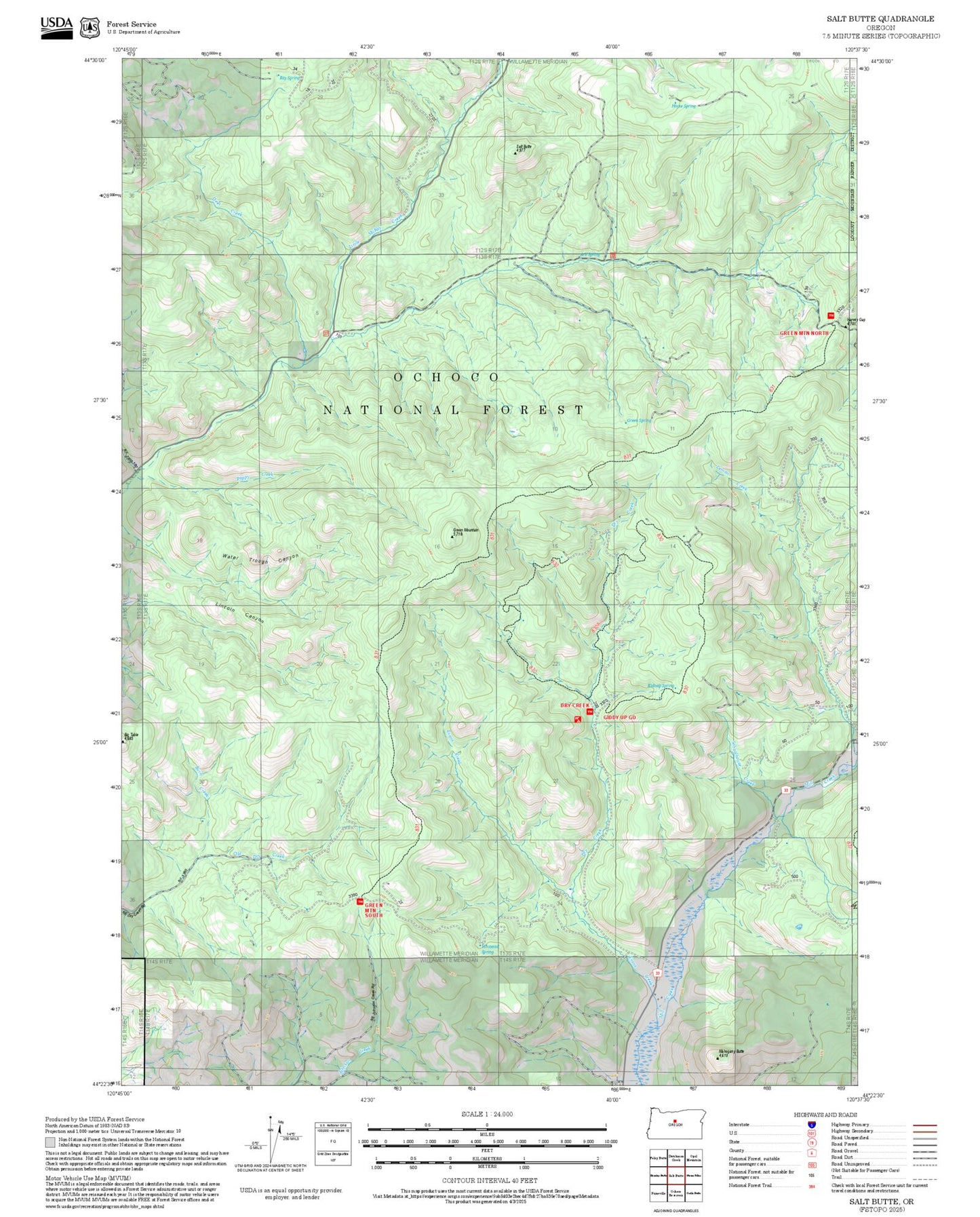 2025 Forest Service Topo Map of Salt Butte Oregon
