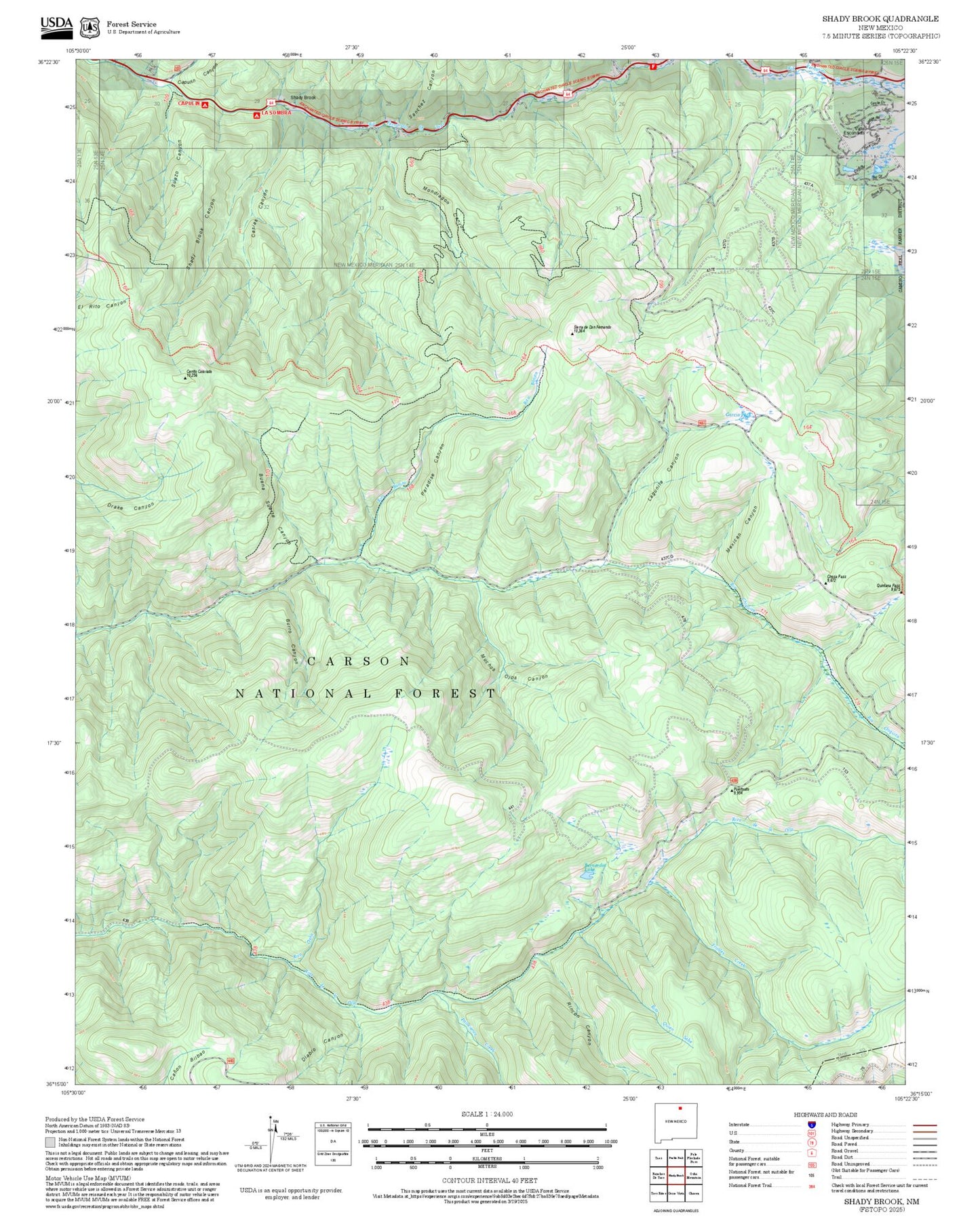 2025 Forest Service Topo Map of Shady Brook New Mexico