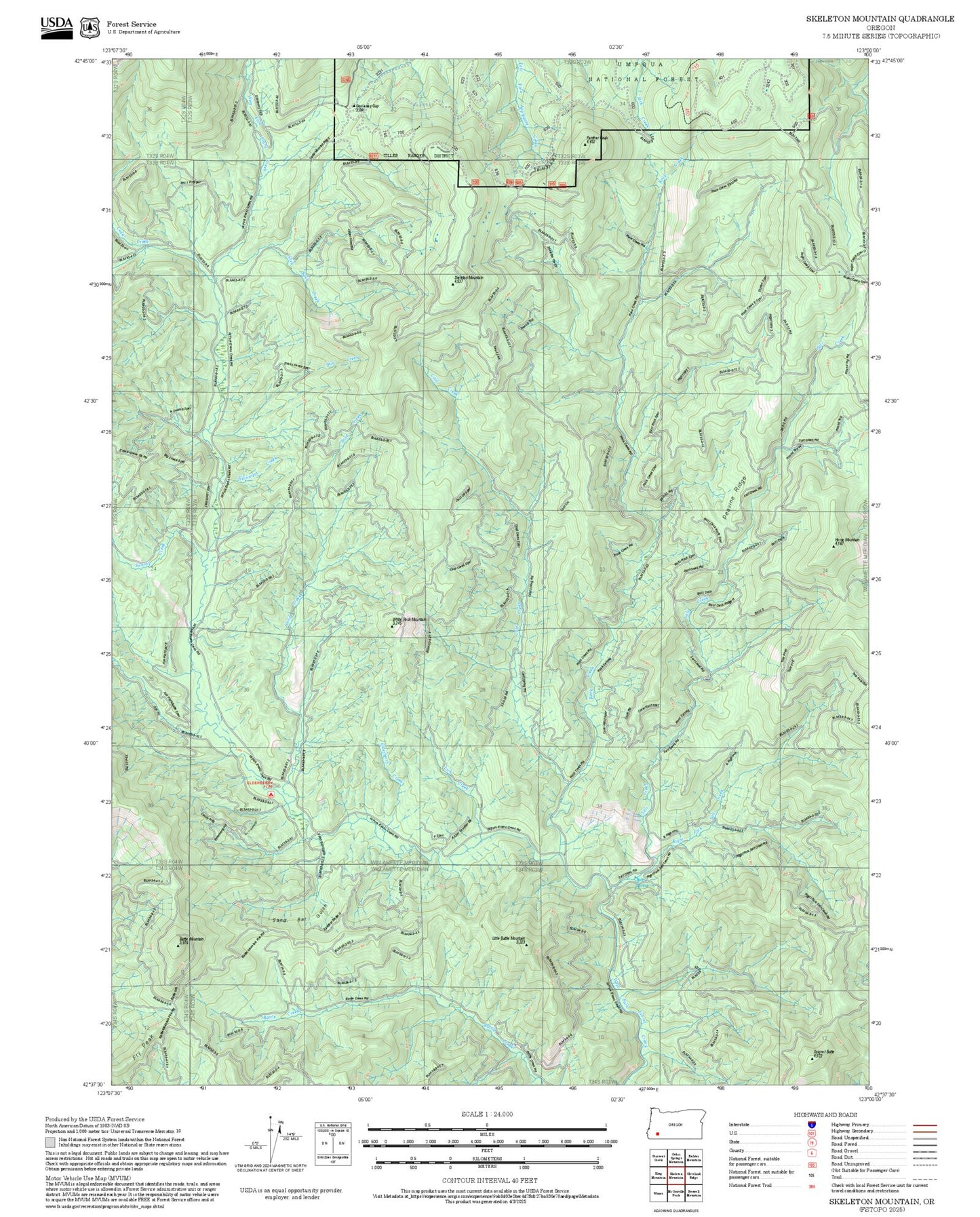2025 Forest Service Topo Map of Skeleton Mountain Oregon