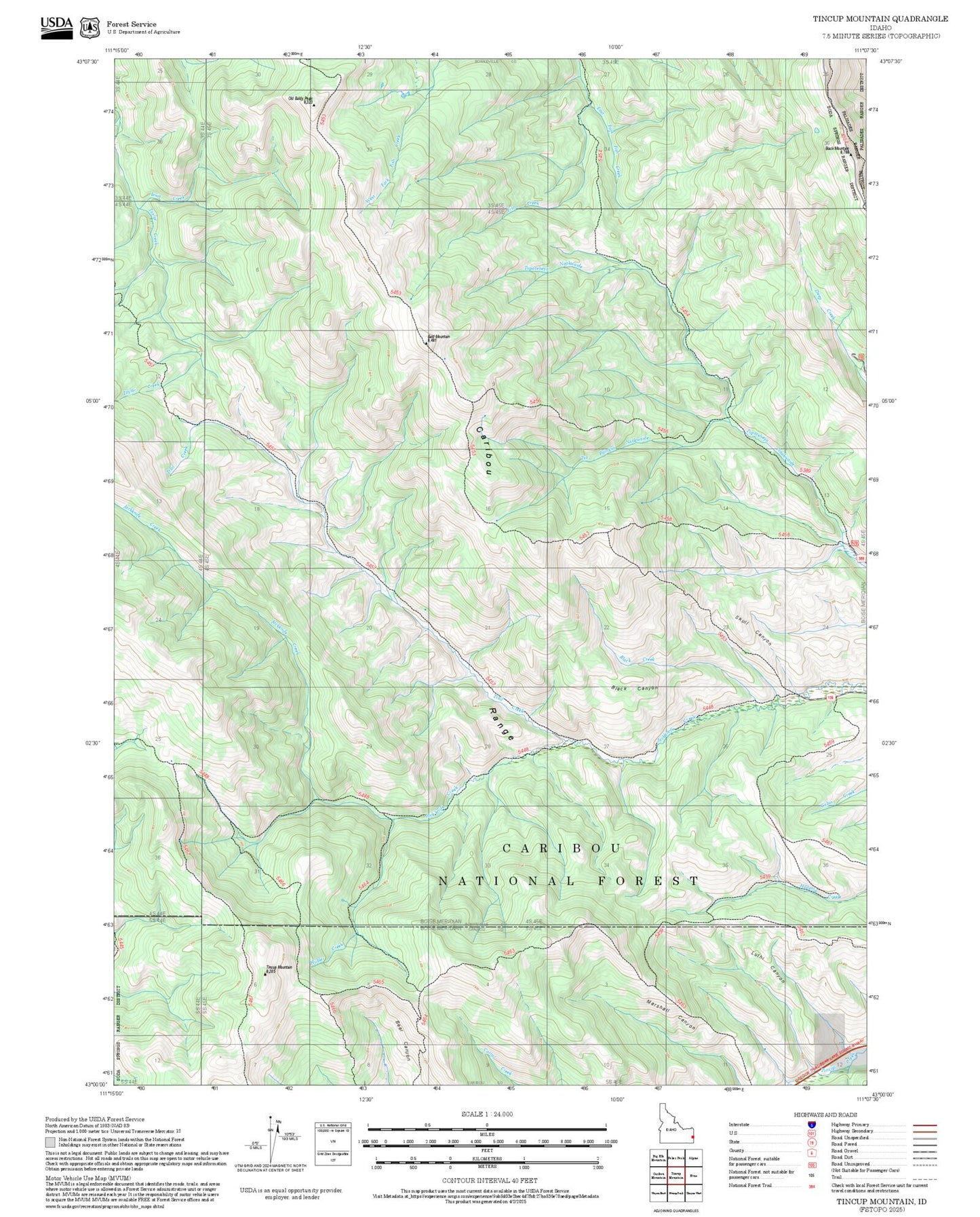 2025 Forest Service Topo Map of Tincup Mountain Idaho