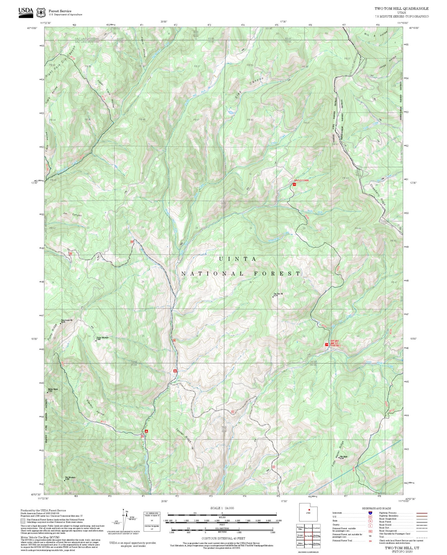 2025 Forest Service Topo Map of Two Tom Hill Utah