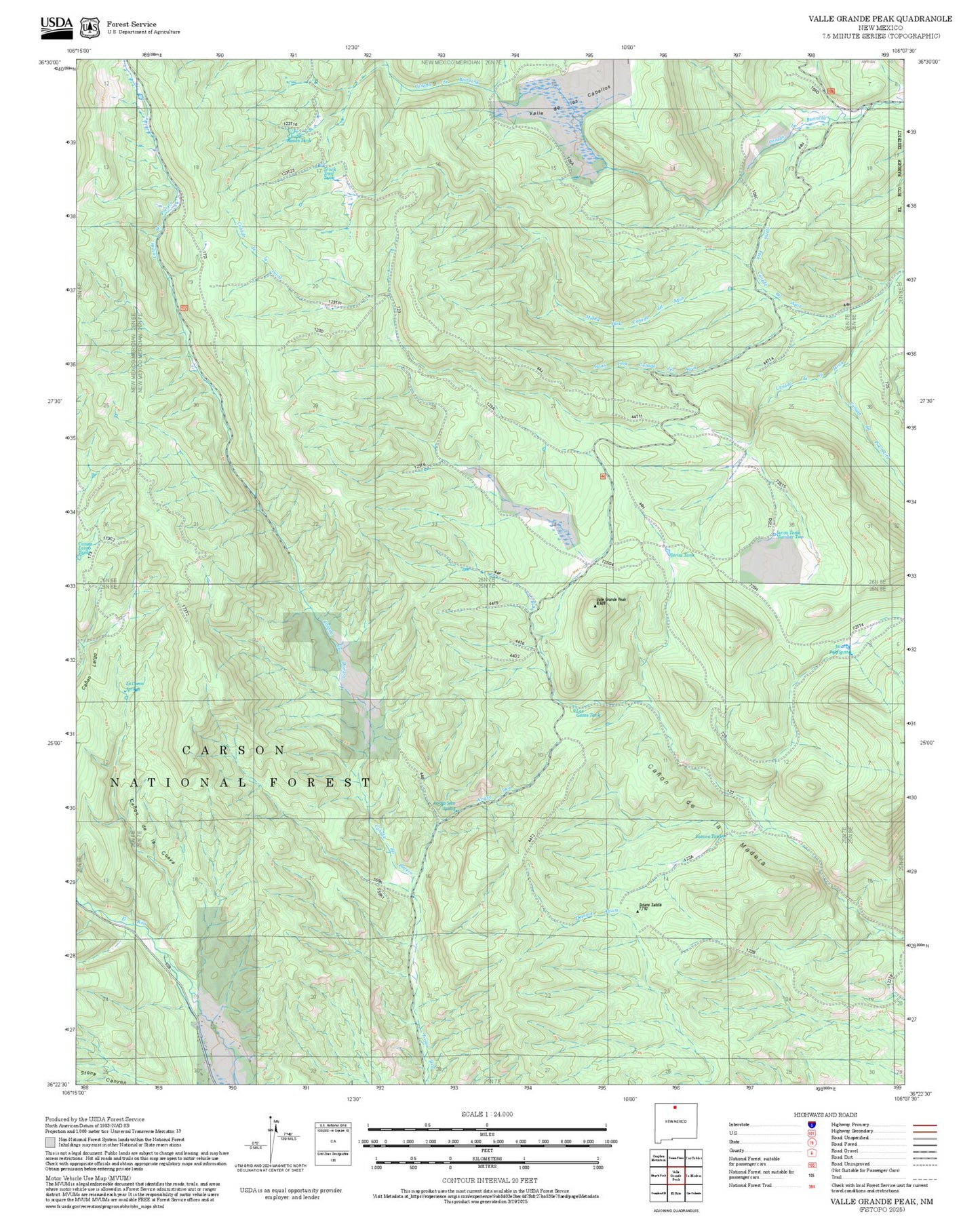 2025 Forest Service Topo Map of Valle Grande Peak New Mexico