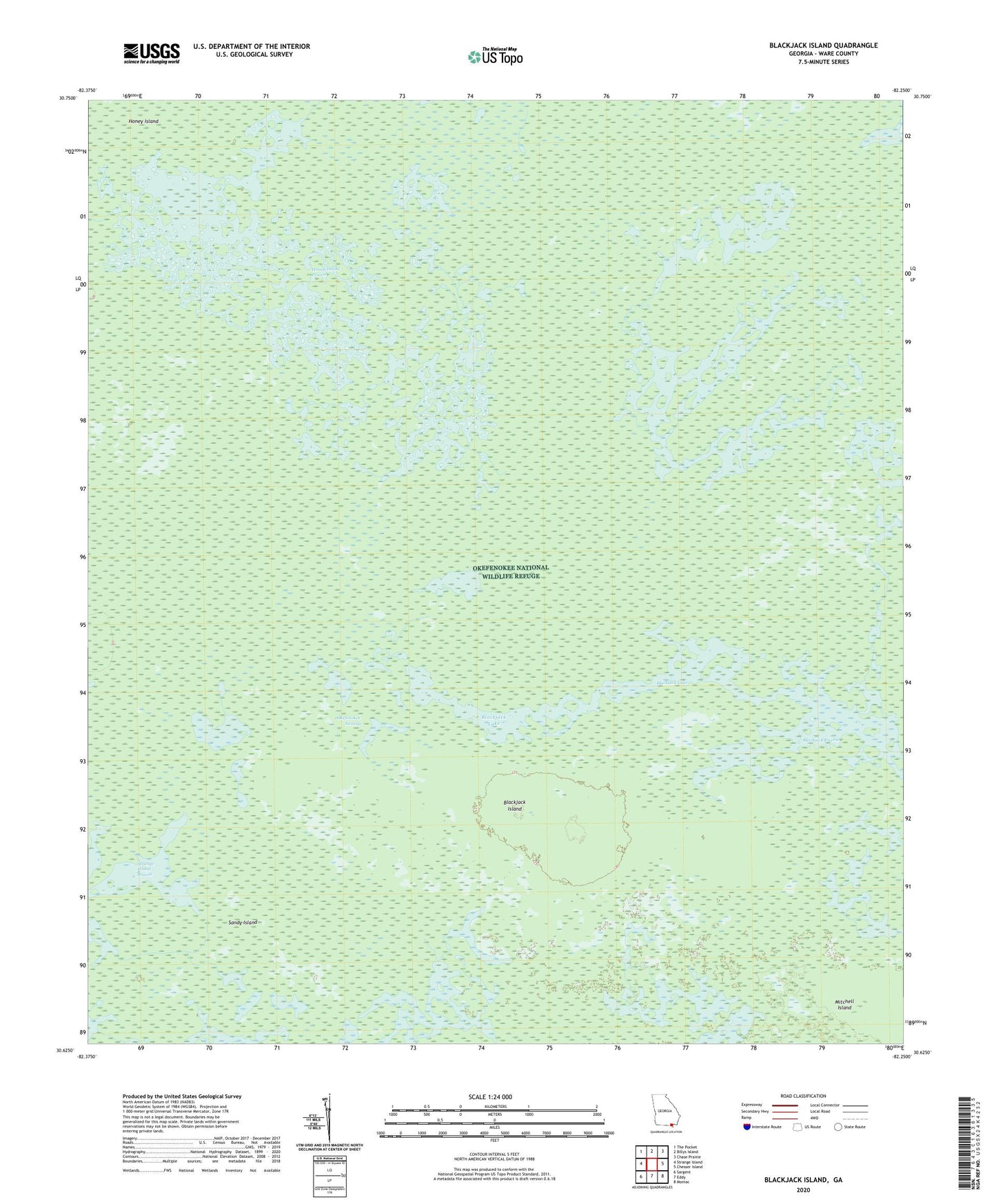 Blackjack Island Georgia US Topo Map Image