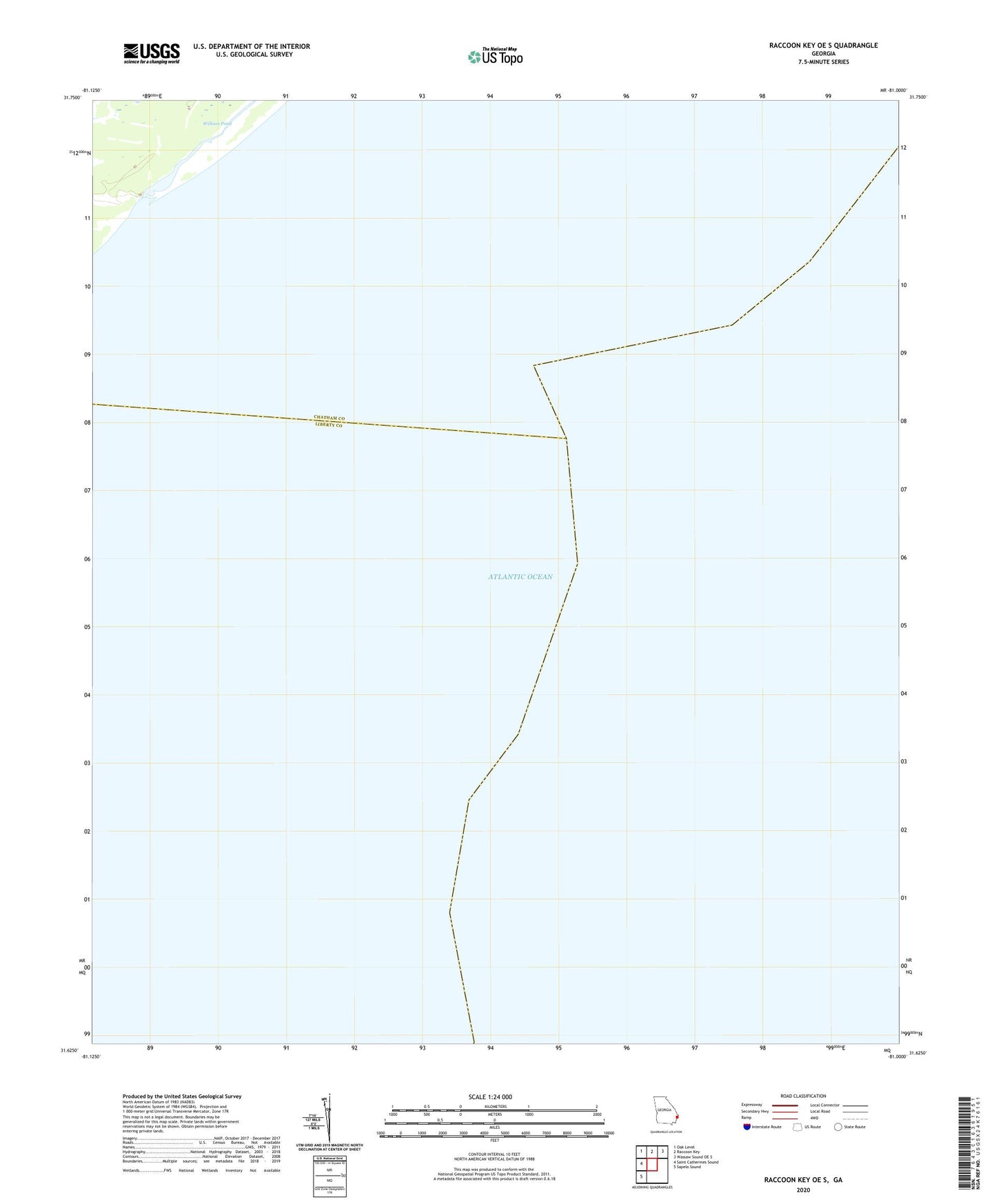 Raccoon Key OE S Georgia US Topo Map Image