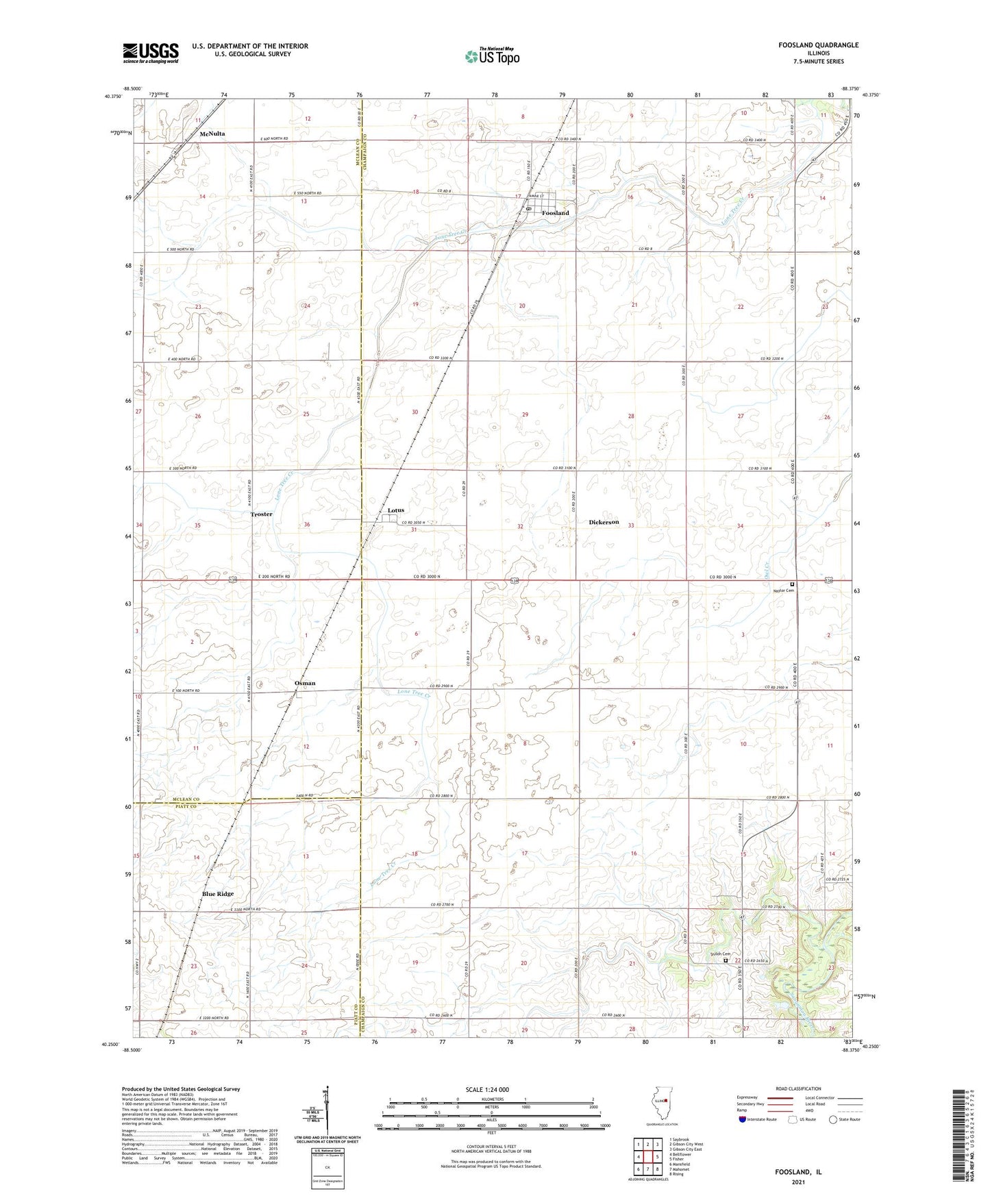 Foosland Illinois US Topo Map Image