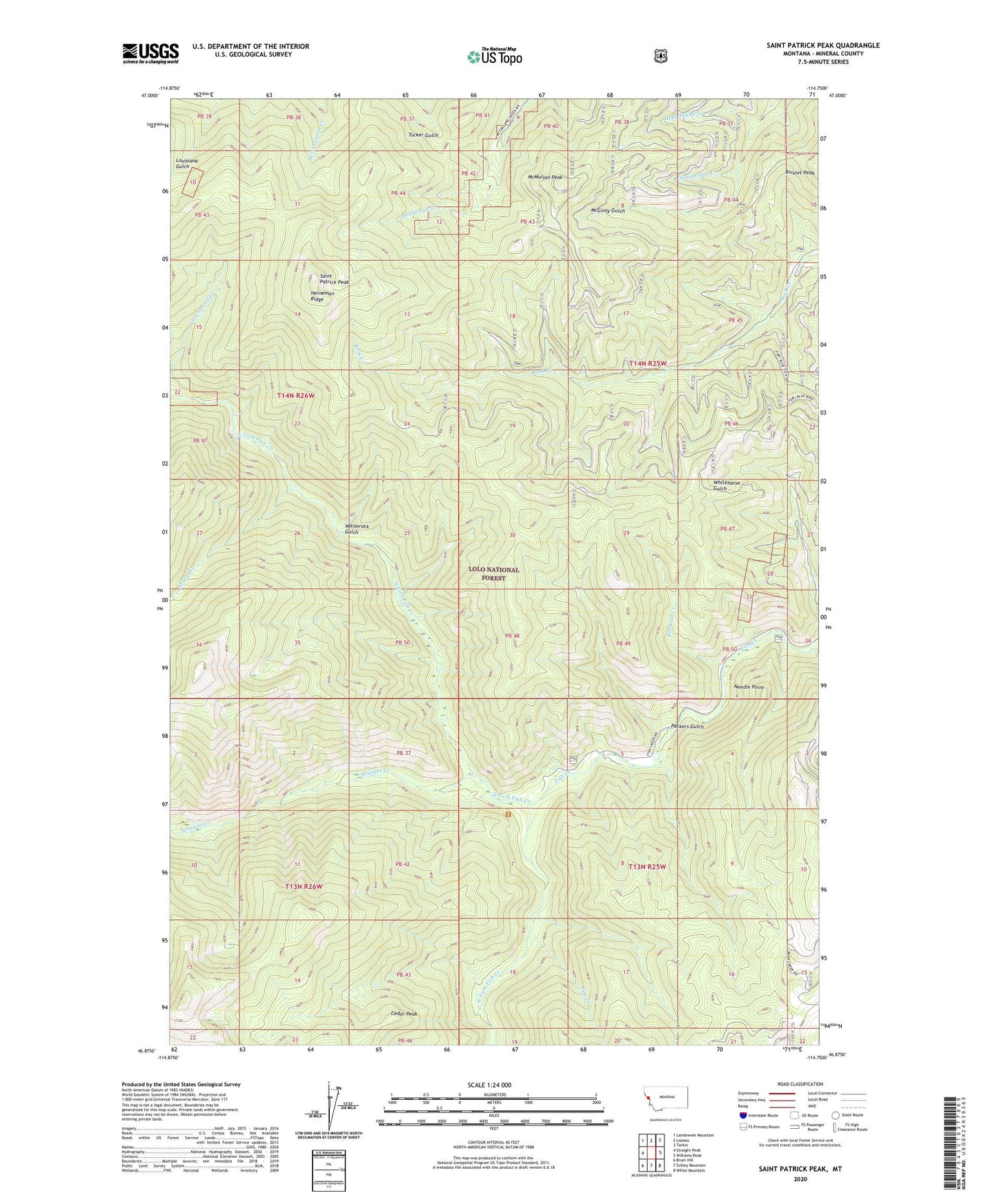 Saint Patrick Peak Montana US Topo Map Image