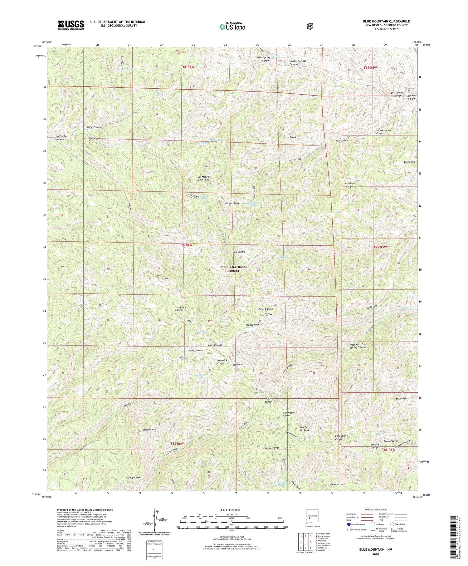 Blue Mountain New Mexico US Topo Map Image