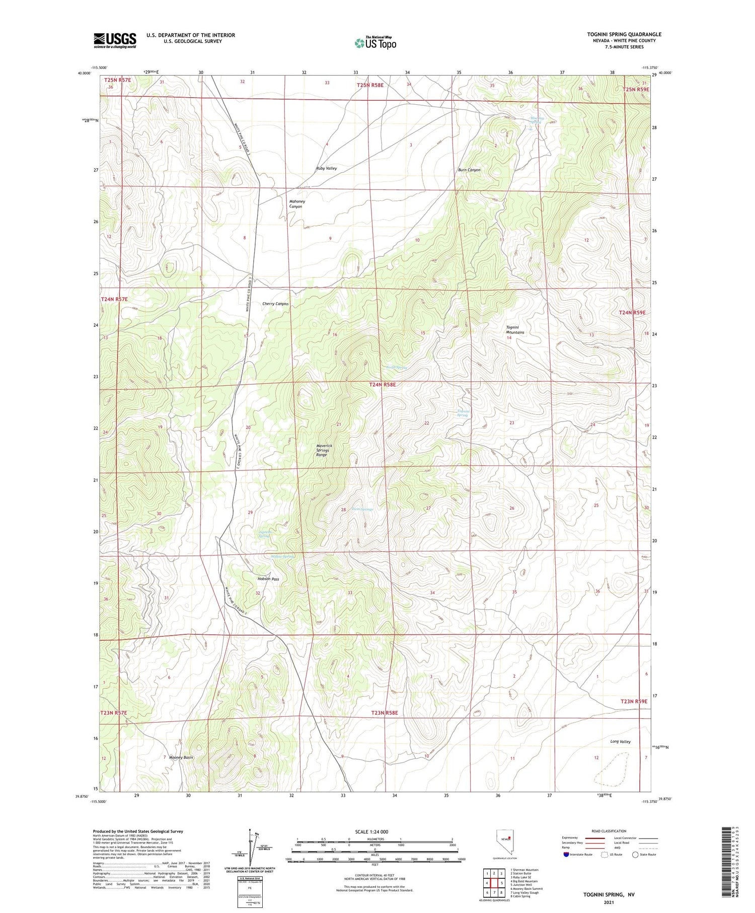Tognini Spring Nevada US Topo Map Image