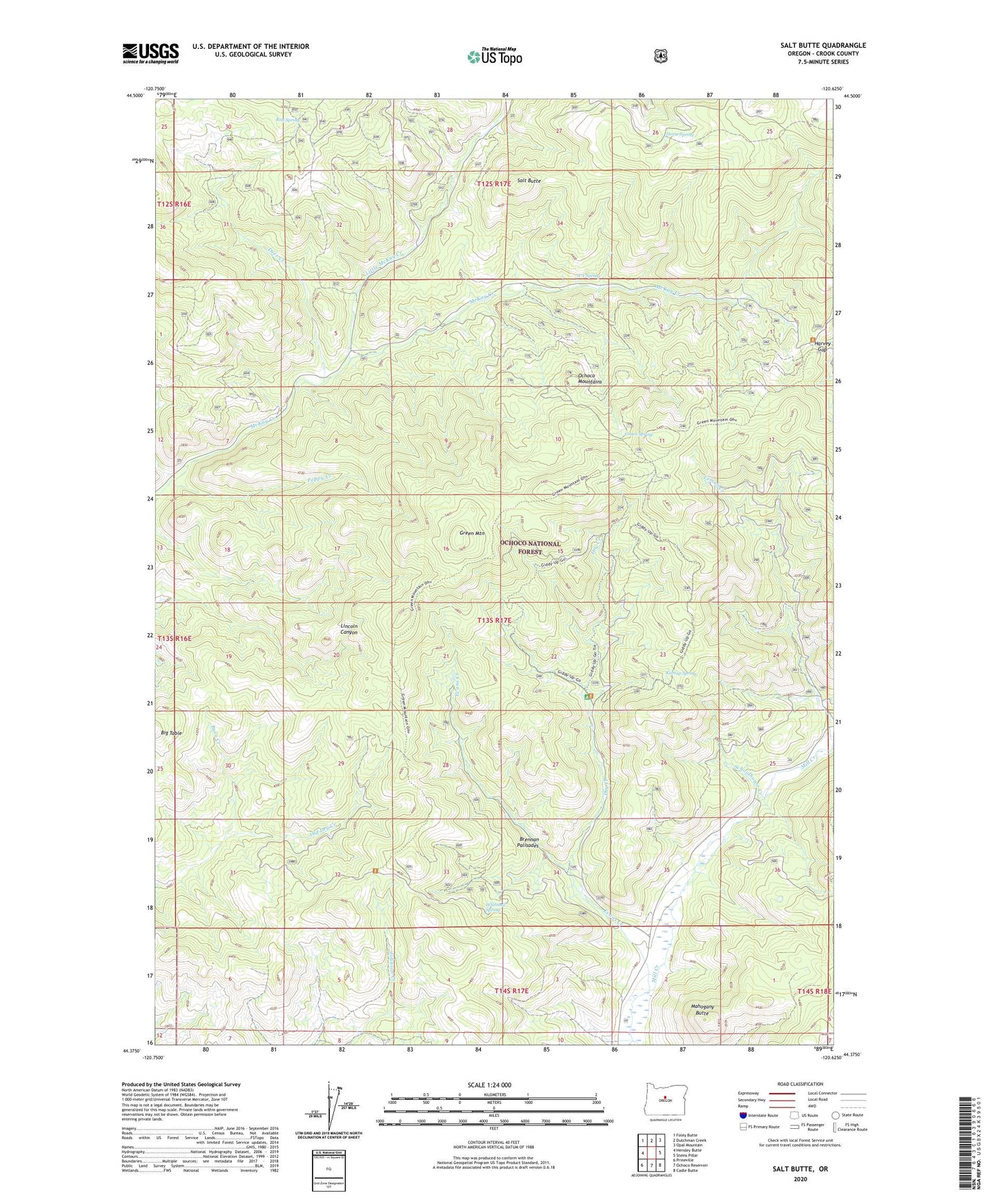 Salt Butte Oregon US Topo Map Image