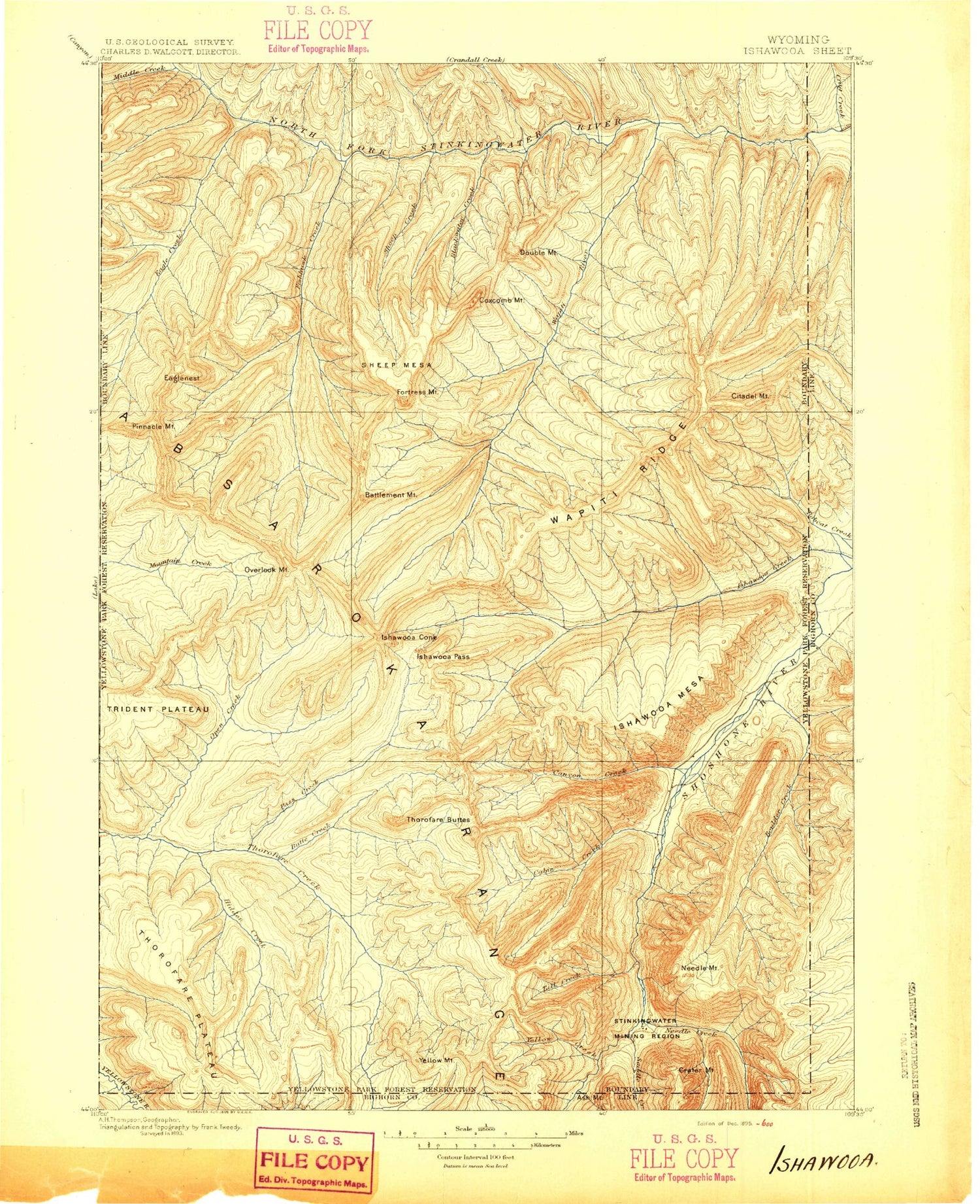 Historic 1895 Ishawoda Wyoming 30'x30' Topo Map Image