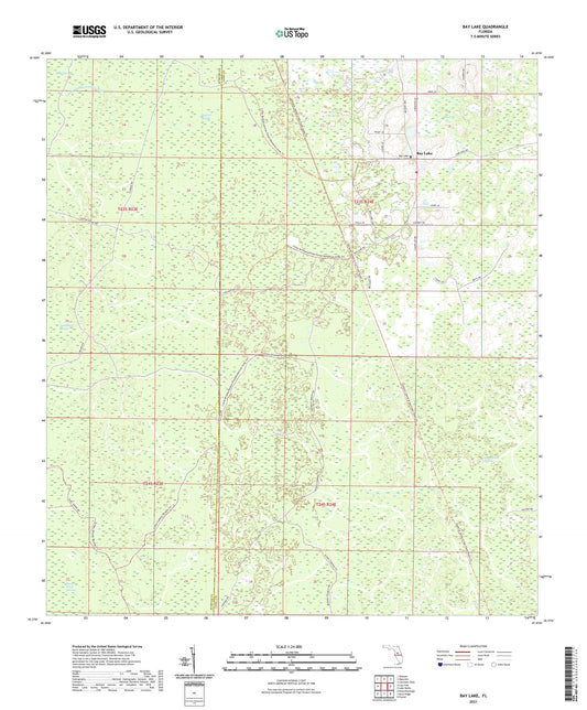 Bay Lake Florida US Topo Map Image