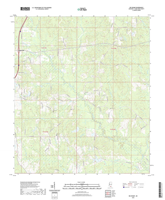 Big Swamp Mississippi US Topo Map Image