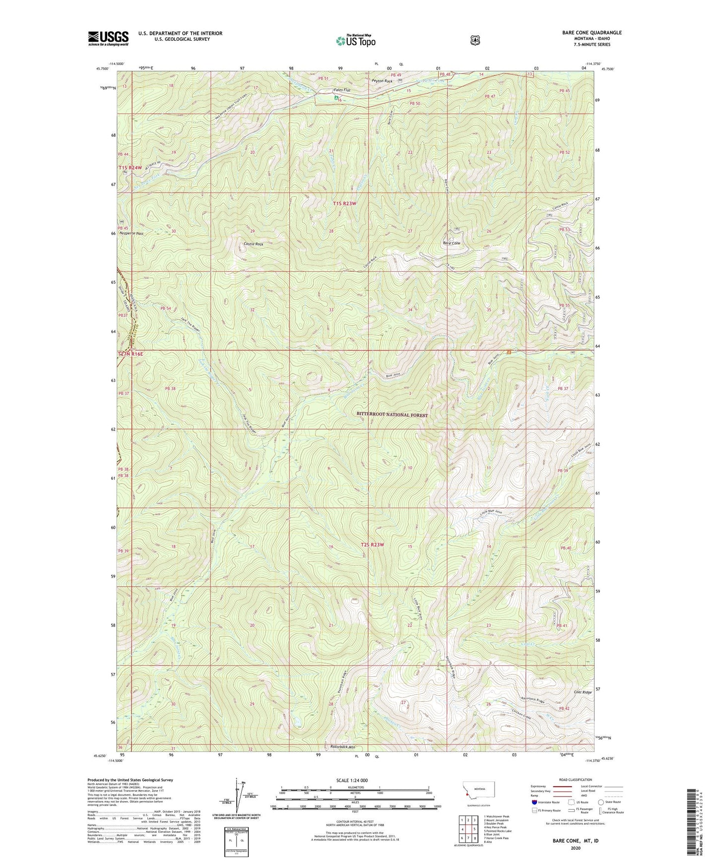 Bare Cone Montana US Topo Map Image