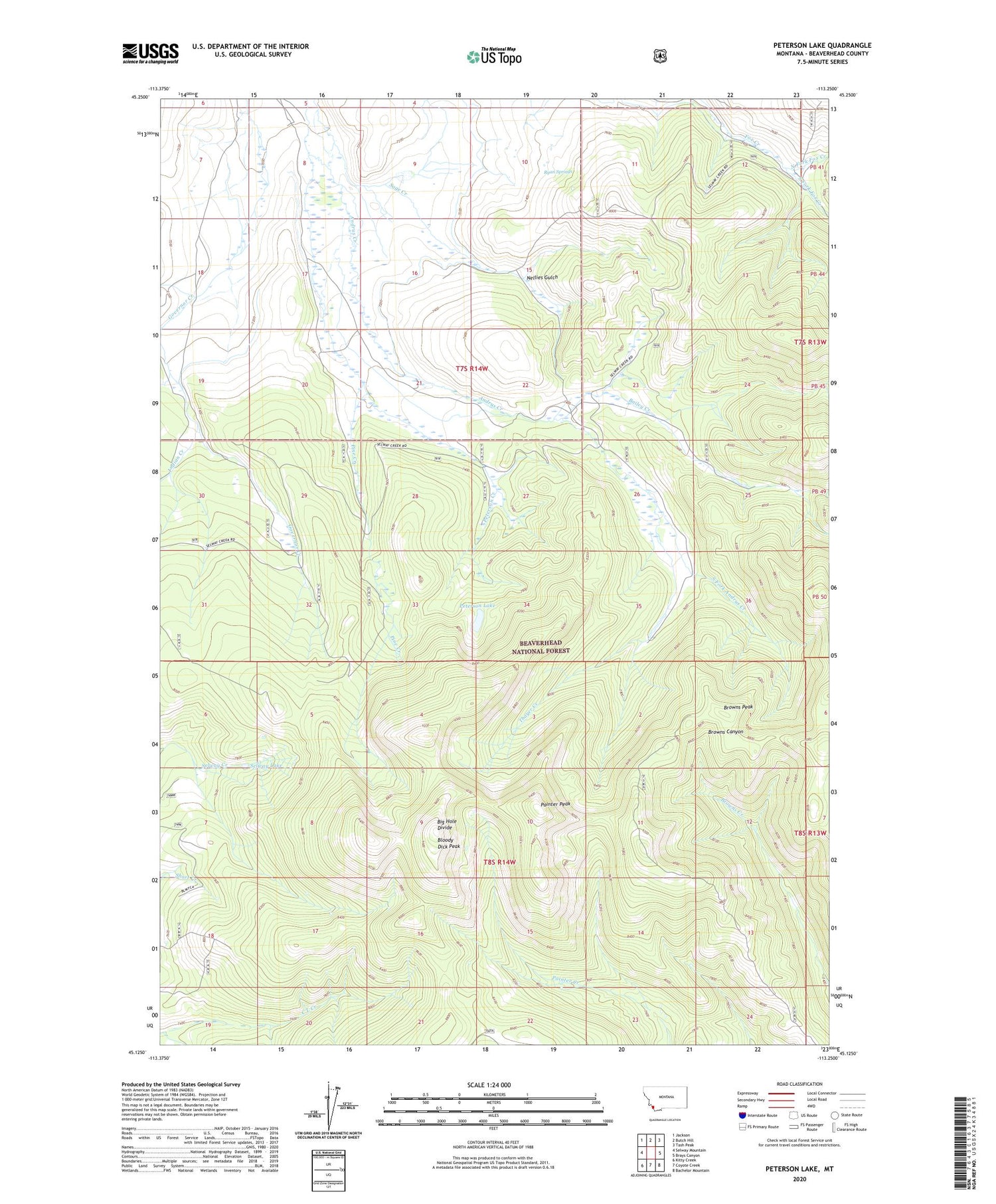 Peterson Lake Montana US Topo Map Image