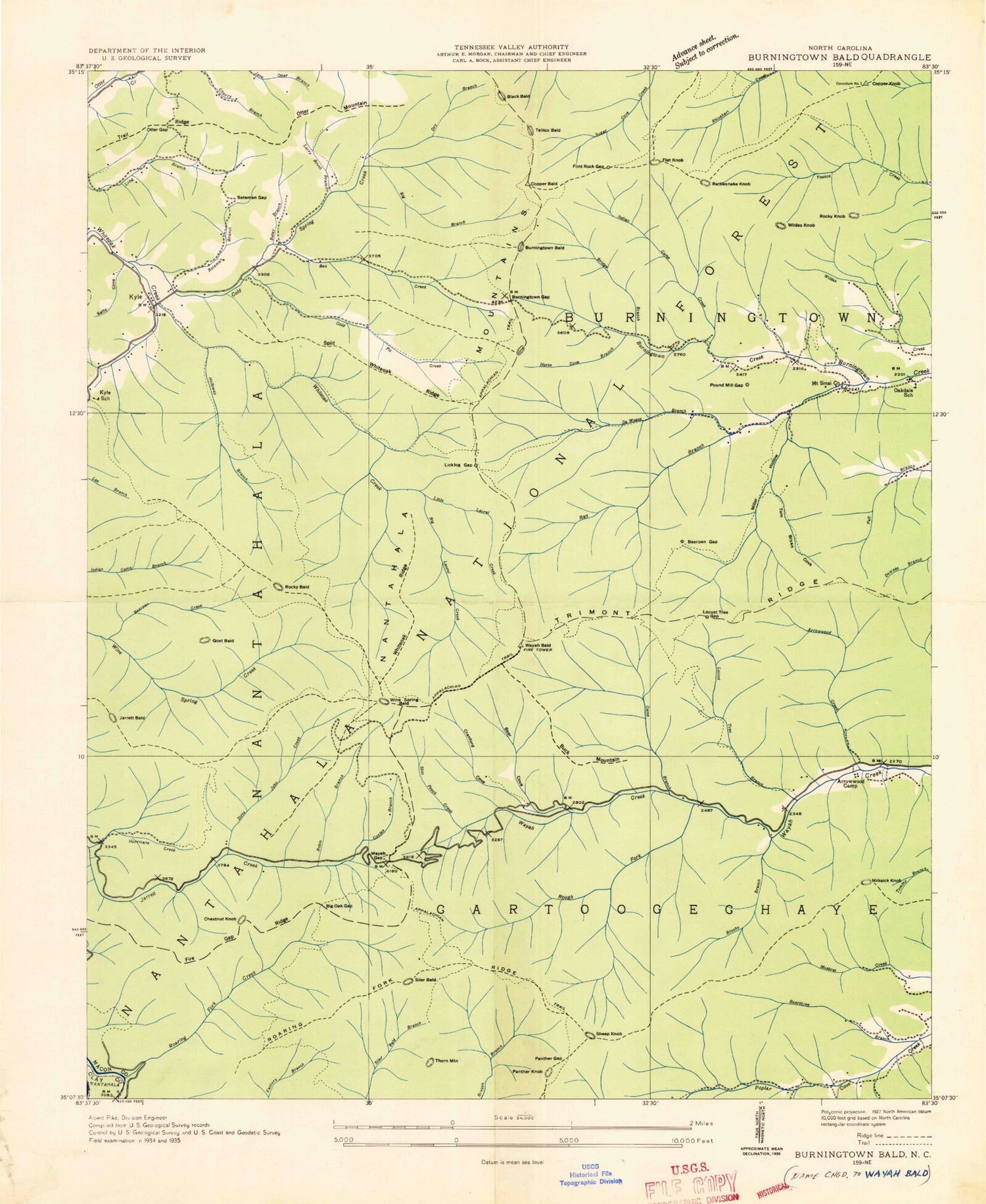 Classic USGS Wayah Bald North Carolina 7.5'x7.5' Topo Map Image
