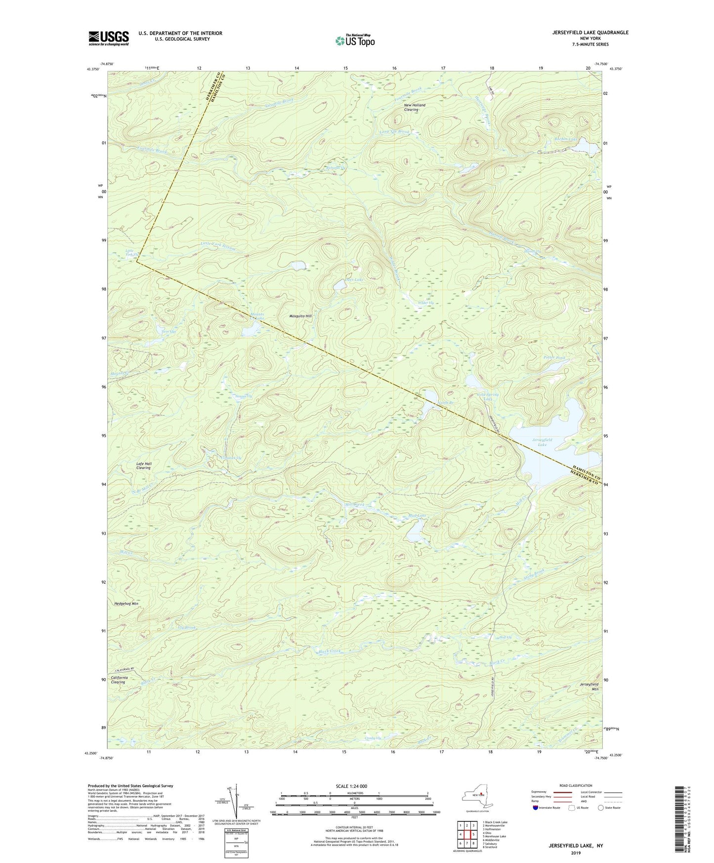 Jerseyfield Lake New York US Topo Map Image