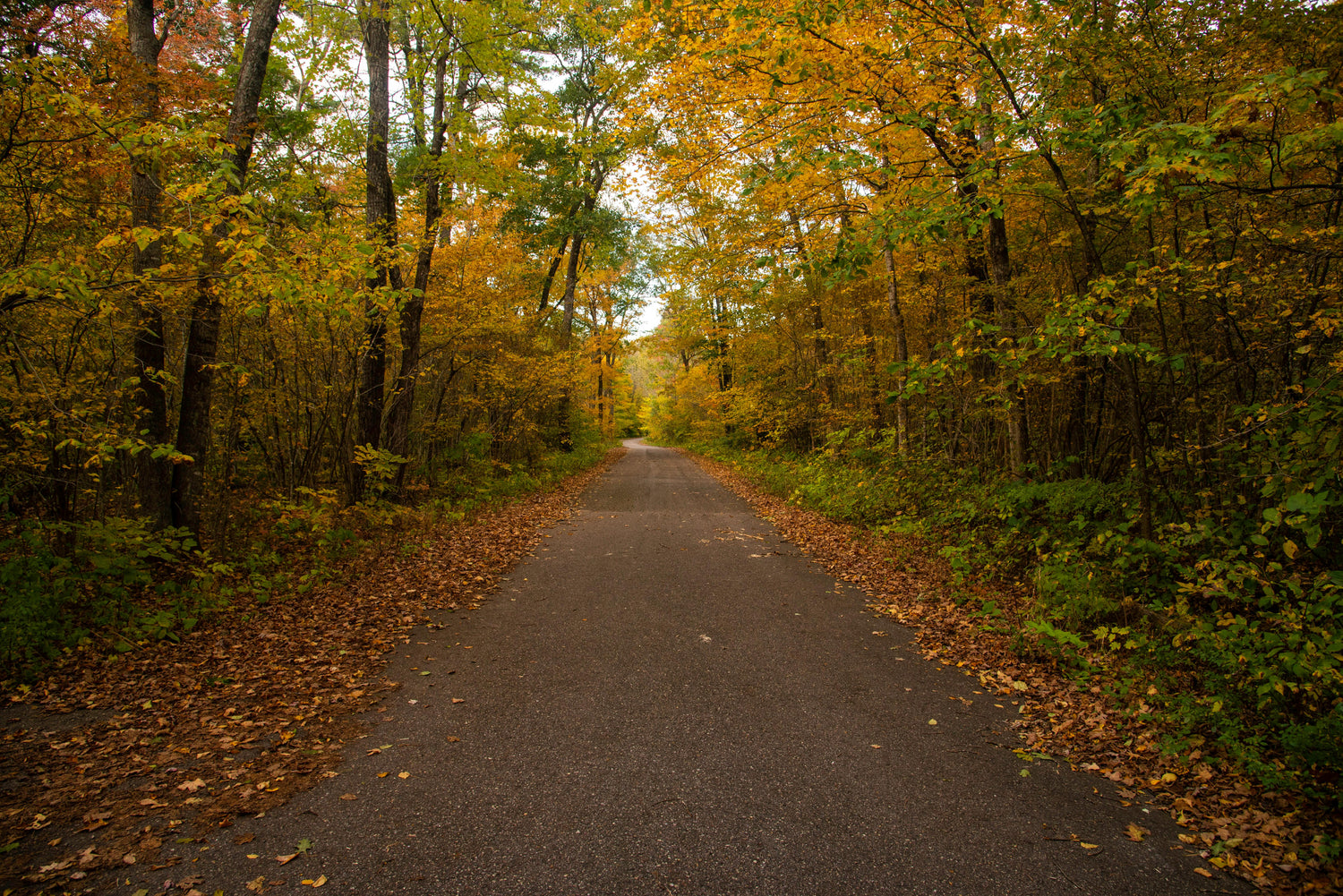 Statewide Wisconsin Maps