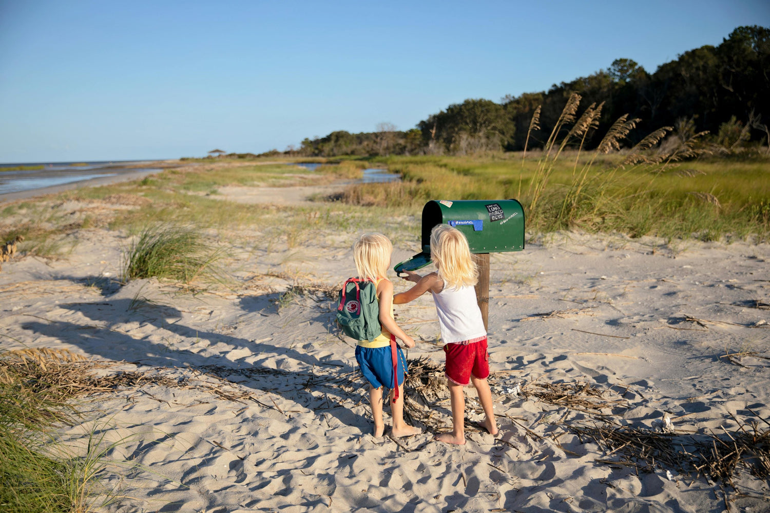 Statewide South Carolina Maps