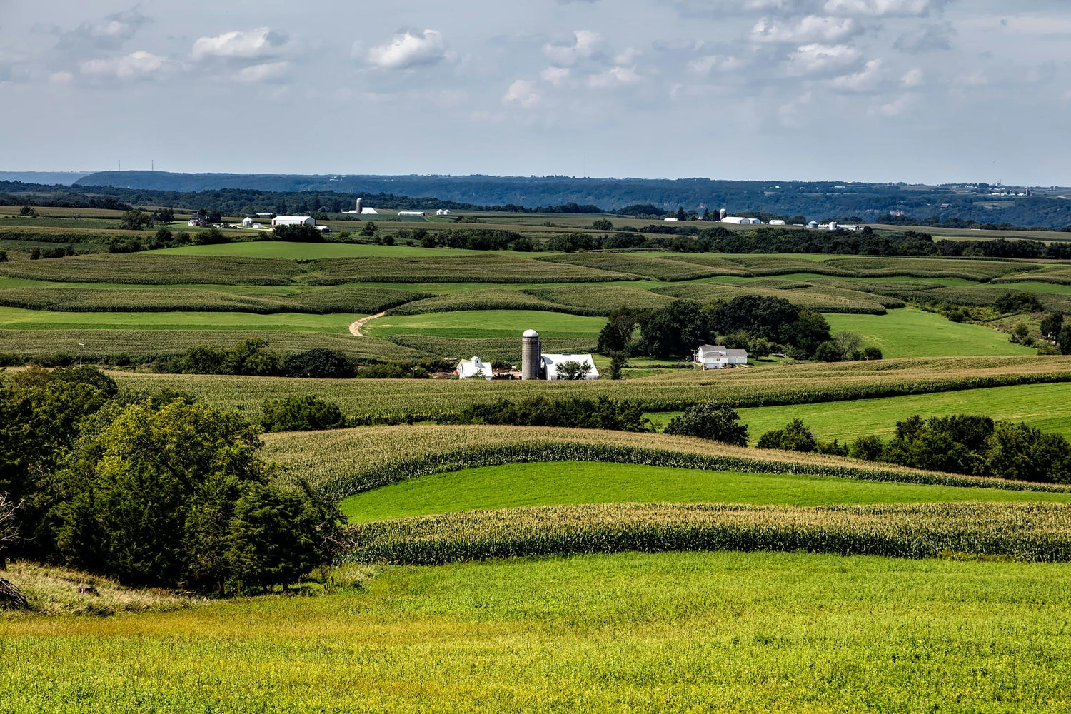 Statewide Iowa Maps