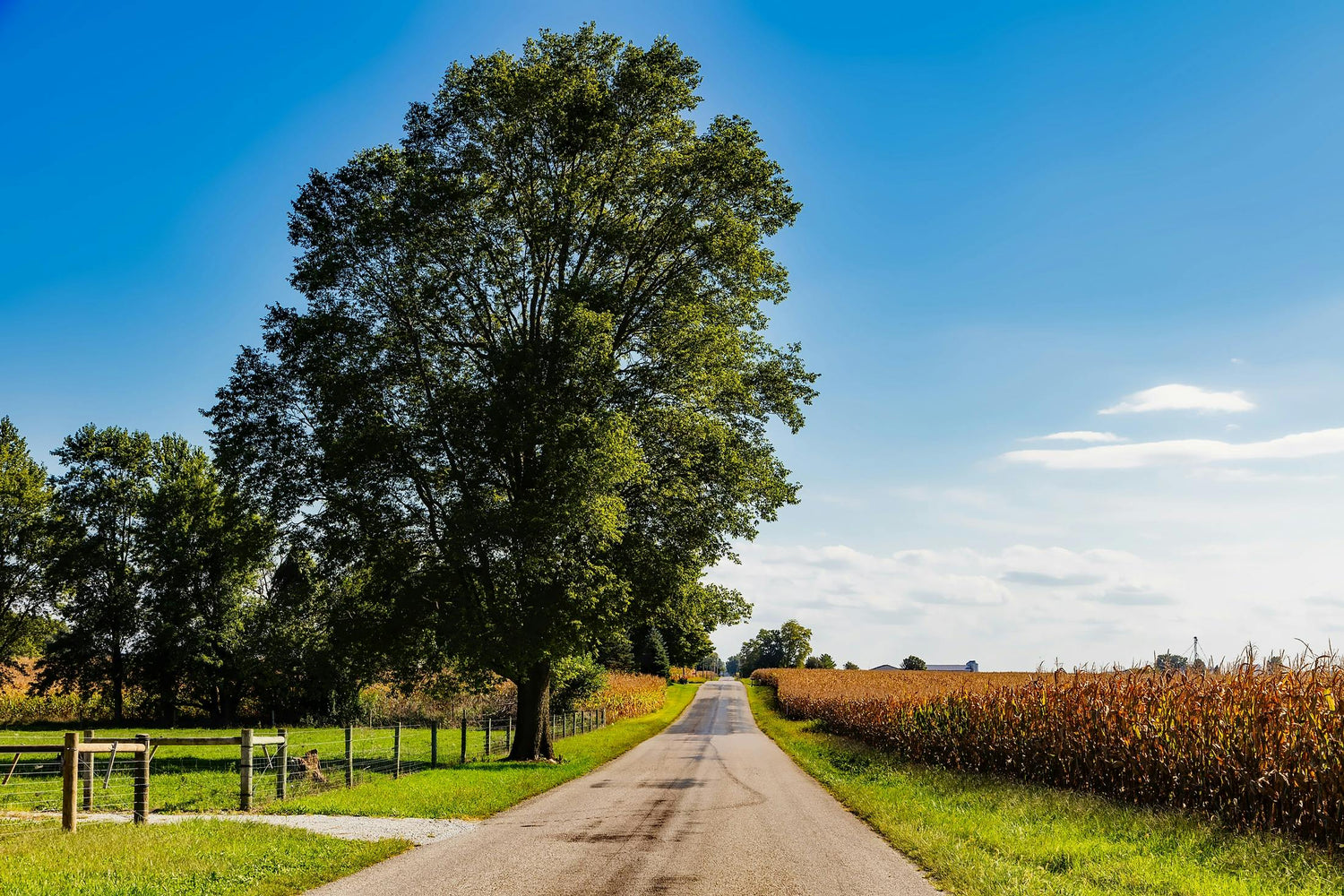 State of Indiana Maps