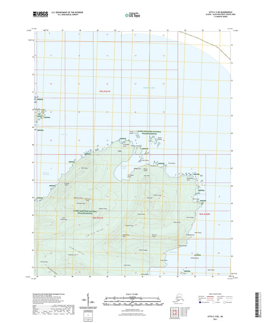 Attu C-3 NE Alaska US Topo Map Image