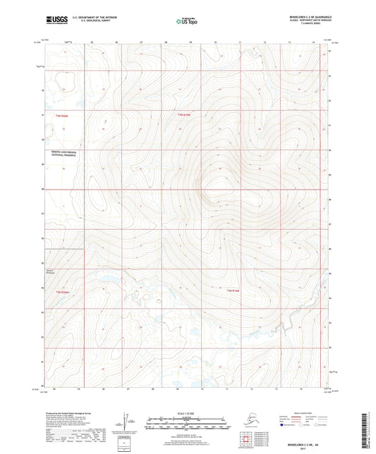 Bendeleben C-2 NE Alaska US Topo Map Image