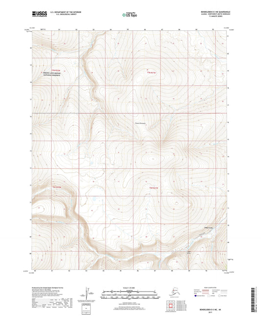 Bendeleben D-3 NE Alaska US Topo Map Image