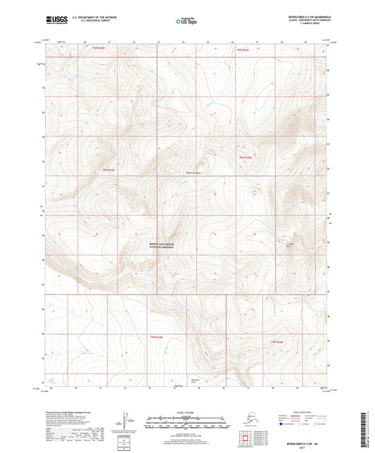 Bendeleben D-3 SW Alaska US Topo Map Image