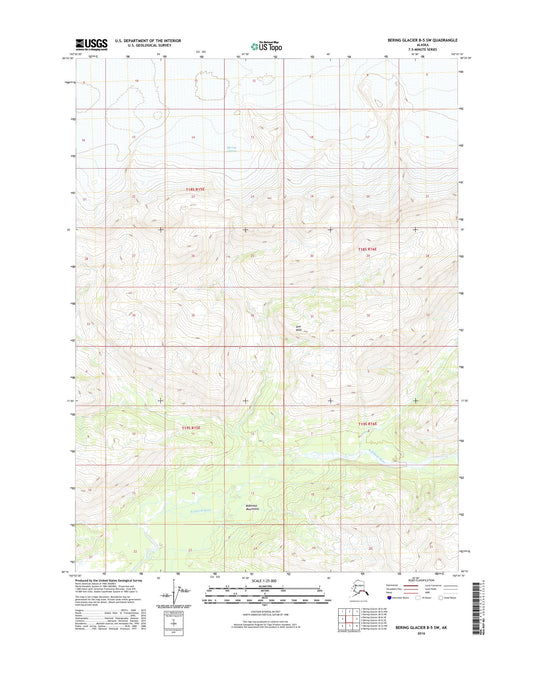 Bering Glacier B-5 SW Alaska US Topo Map Image